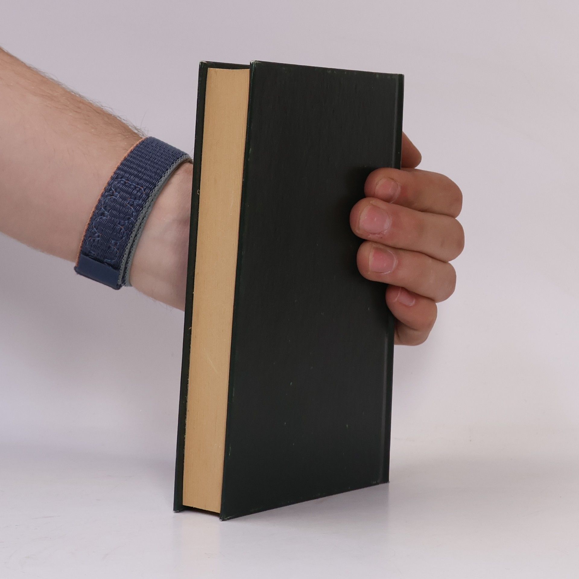 Theodor Storm Novellen Anfänge. Märchen. Spuk-Geschichten
