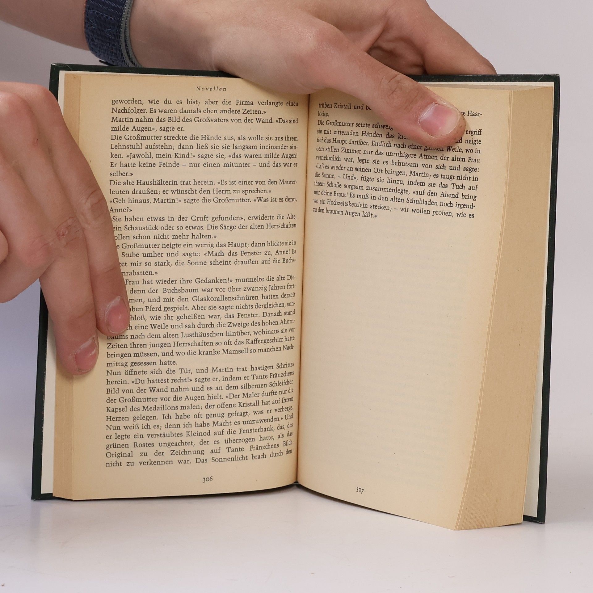 Theodor Storm Novellen Anfänge. Märchen. Spuk-Geschichten