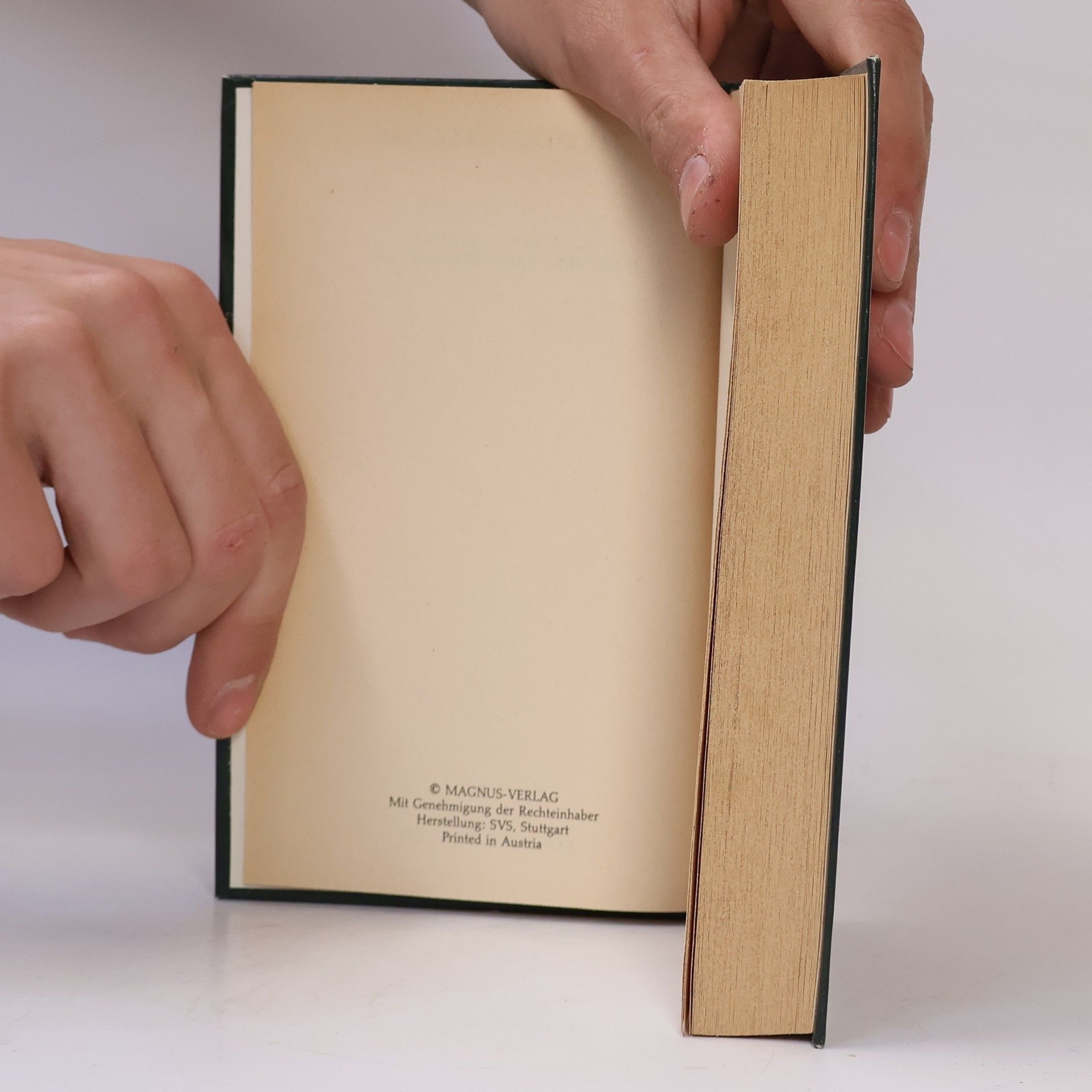 Theodor Storm Novellen Anfänge. Märchen. Spuk-Geschichten