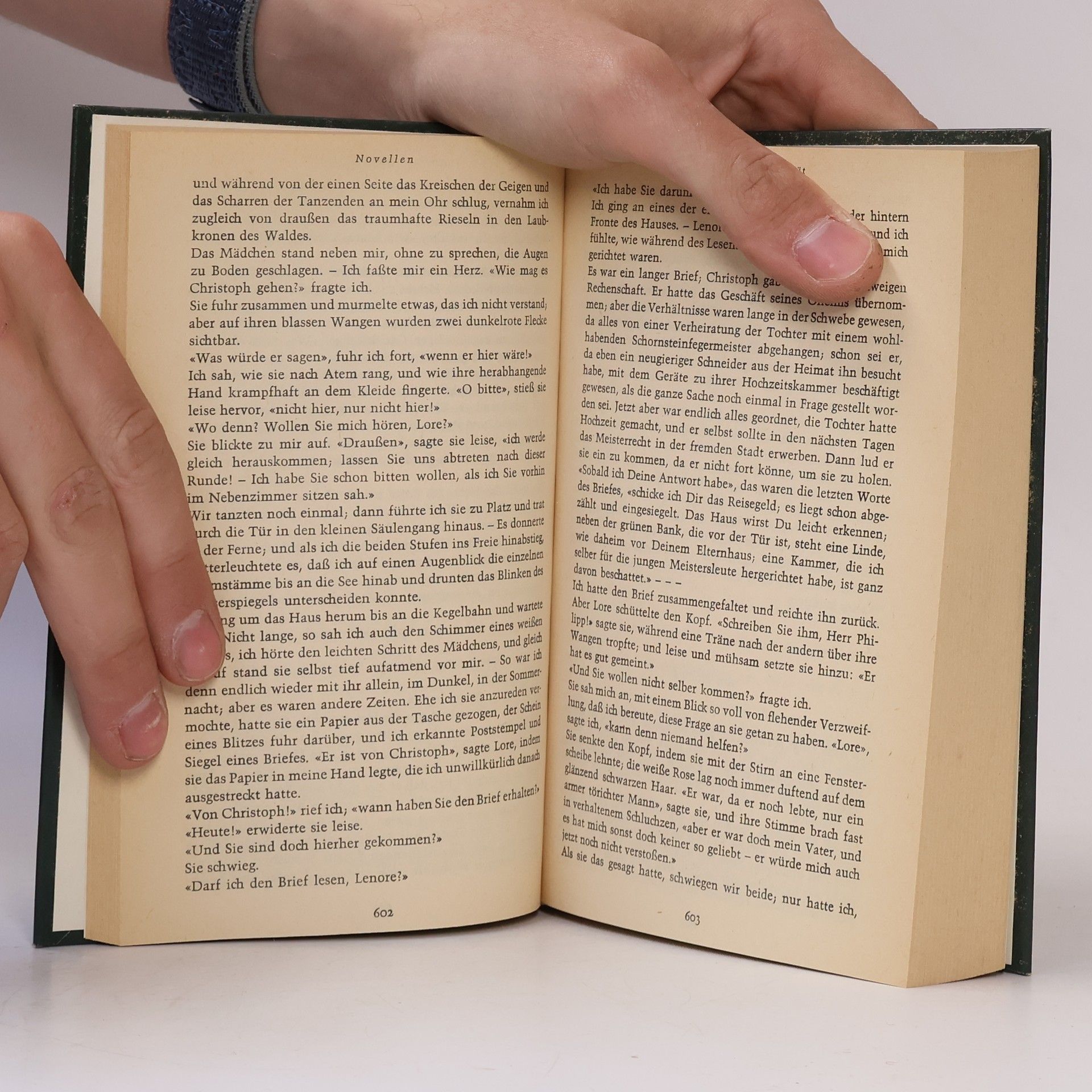 Theodor Storm Novellen