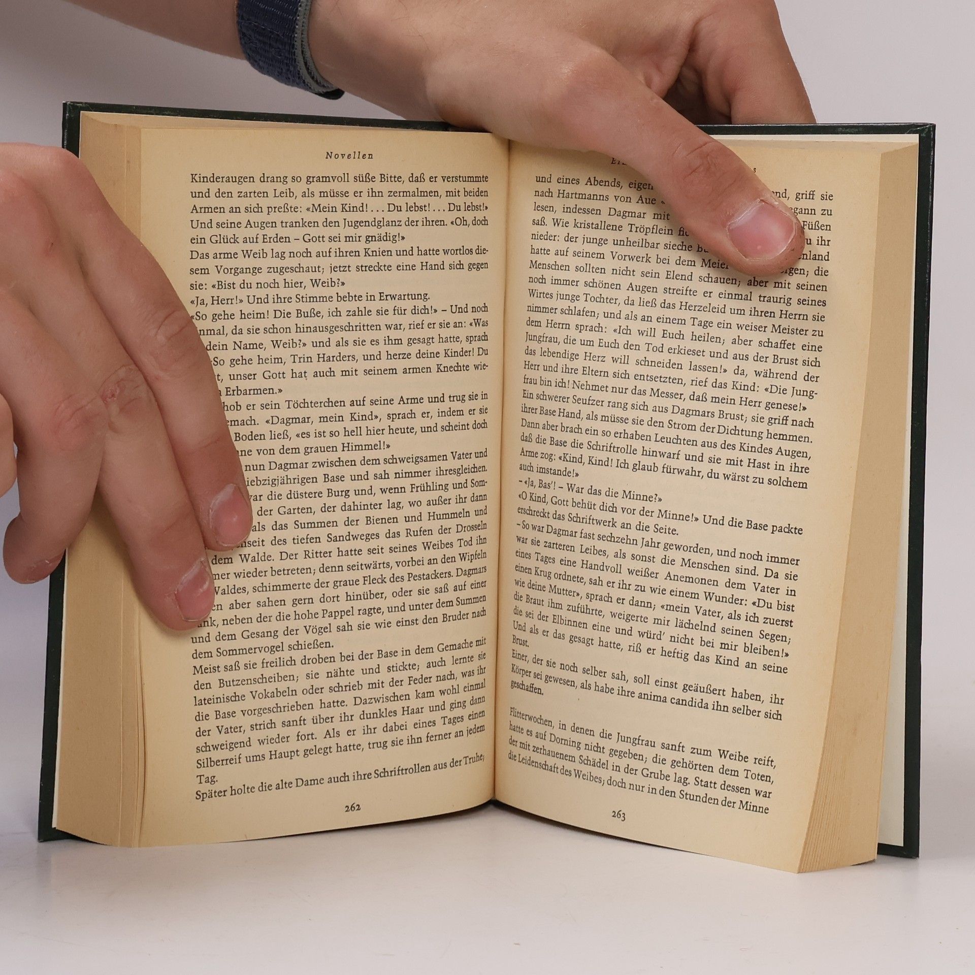 Theodor Storm Novellen