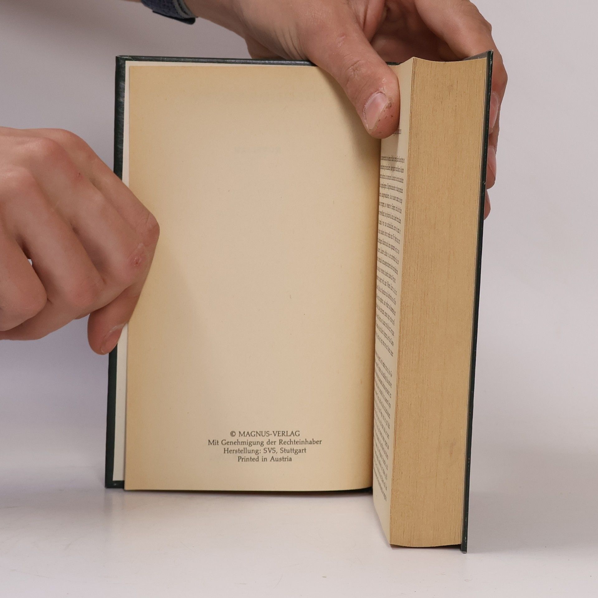 Theodor Storm Novellen