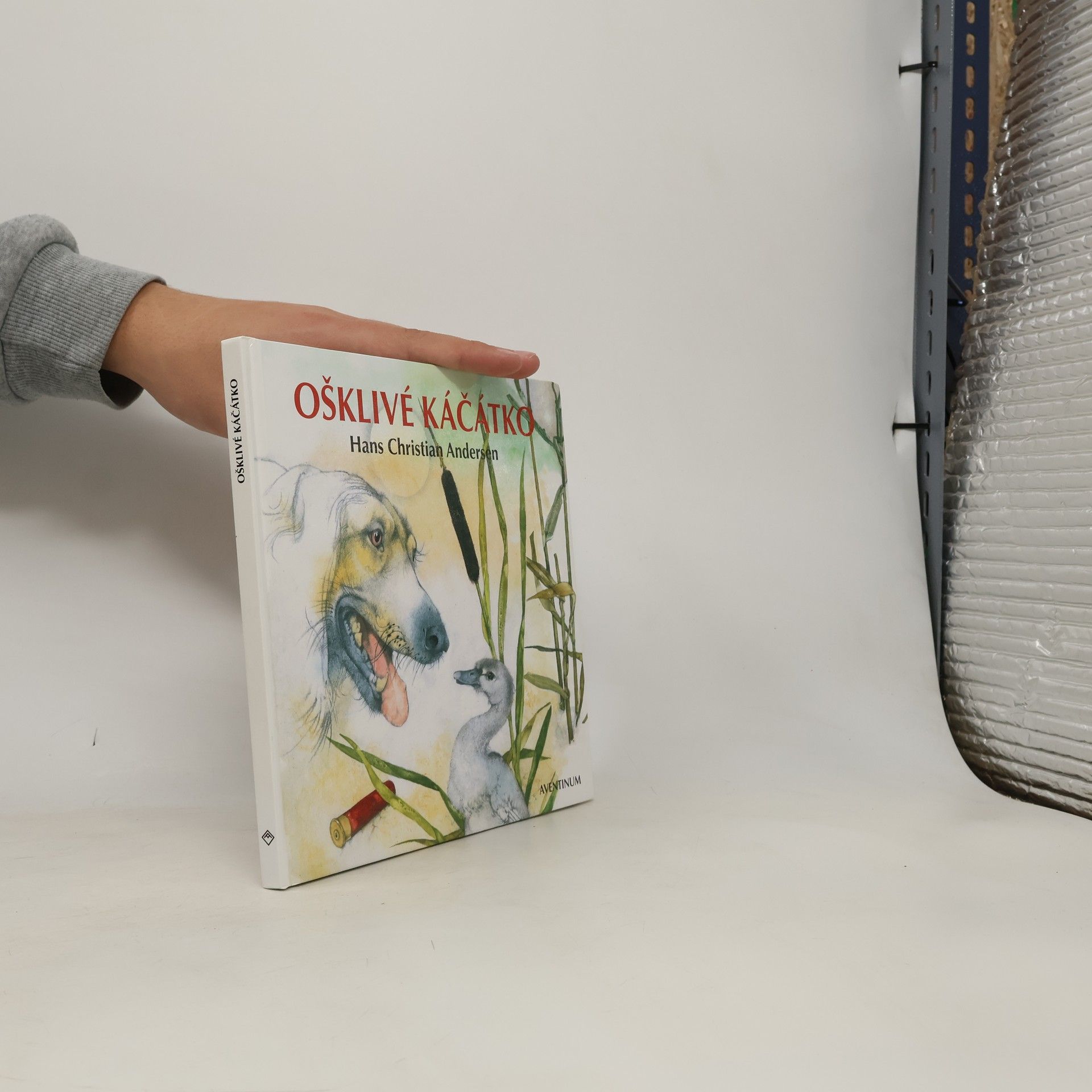 Hans-Christian Andersen Ošklivé káčátko