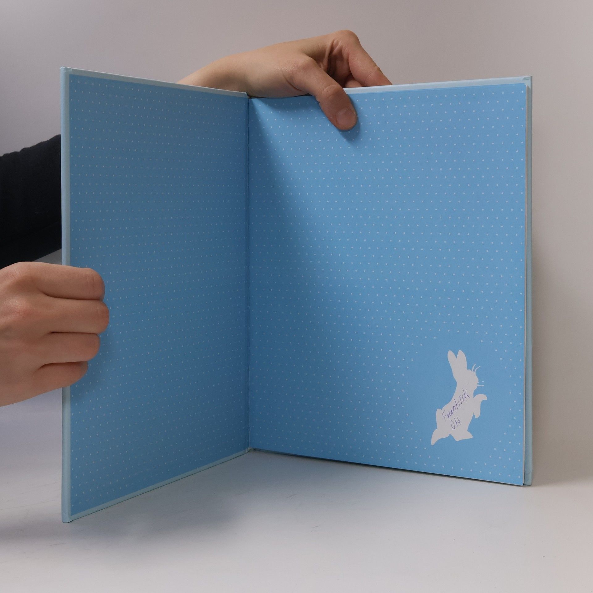 Beatrix Potter Příběhy králíčka Petra