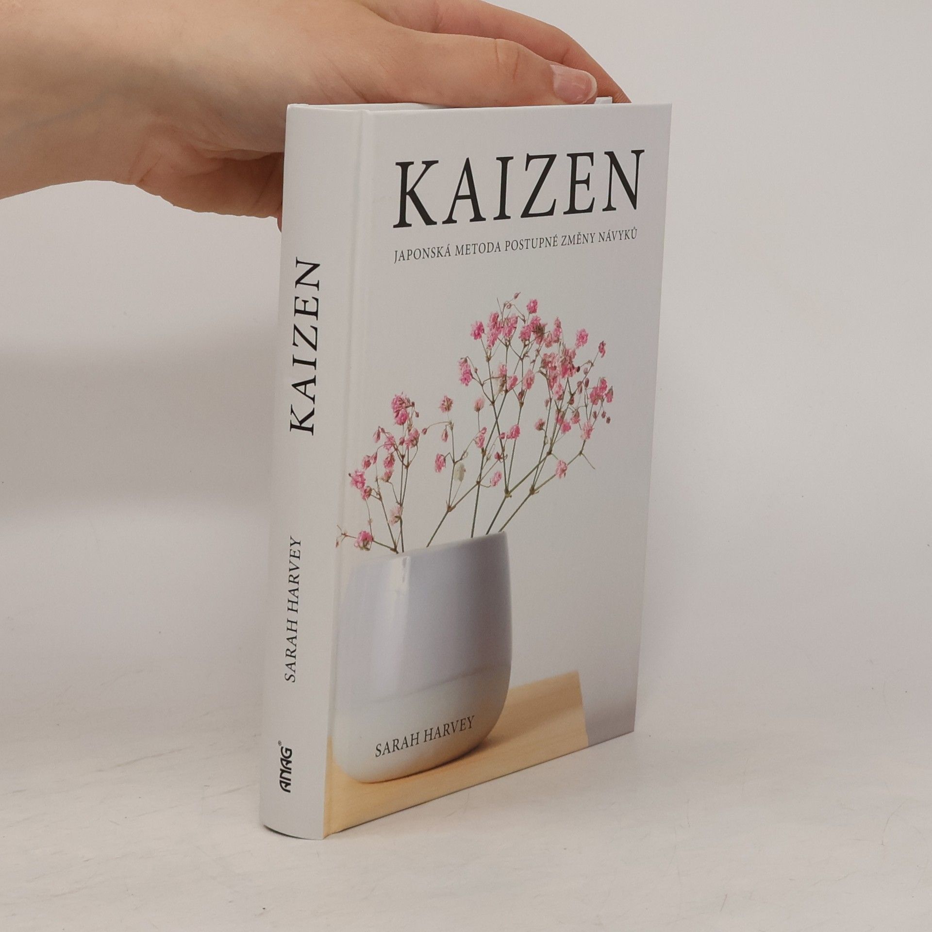 Sarah Harvey Kaizen: Japonská metoda postupné změny návyků
