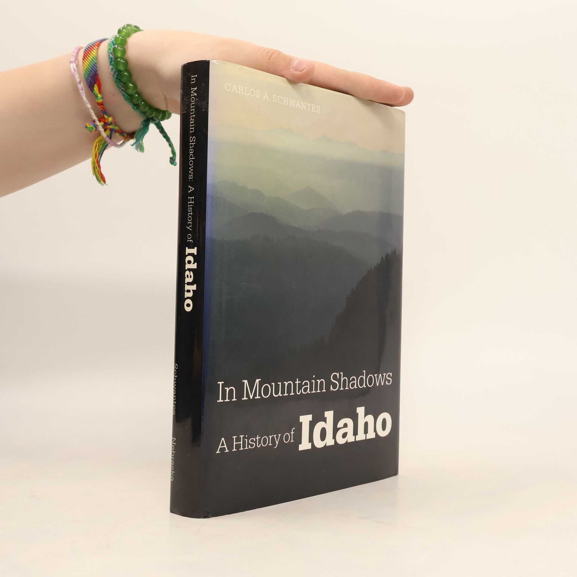 Carlos A. Schwantes In Mountain Shadows