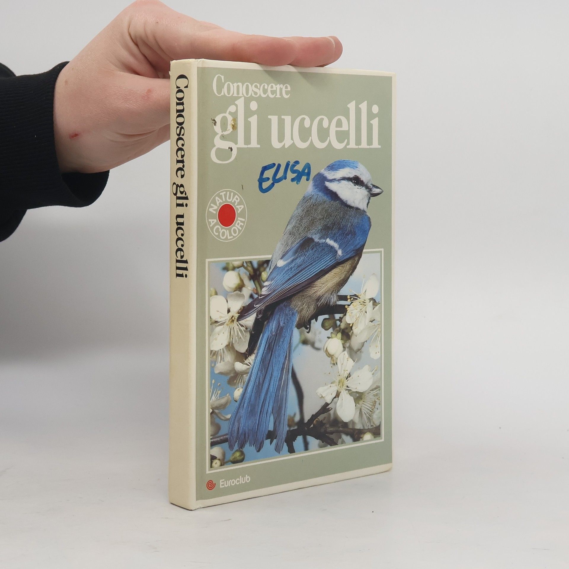 Conoscere gli uccelli