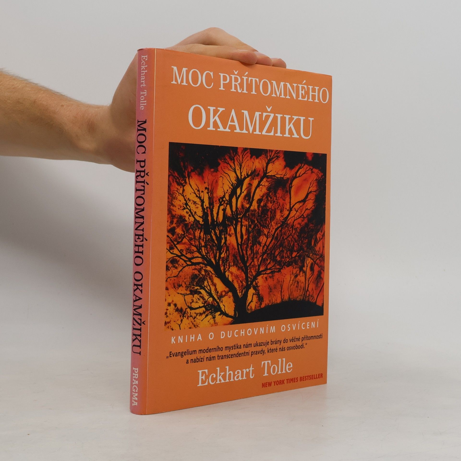 Eckhart Tolle Moc přítomného okamžiku