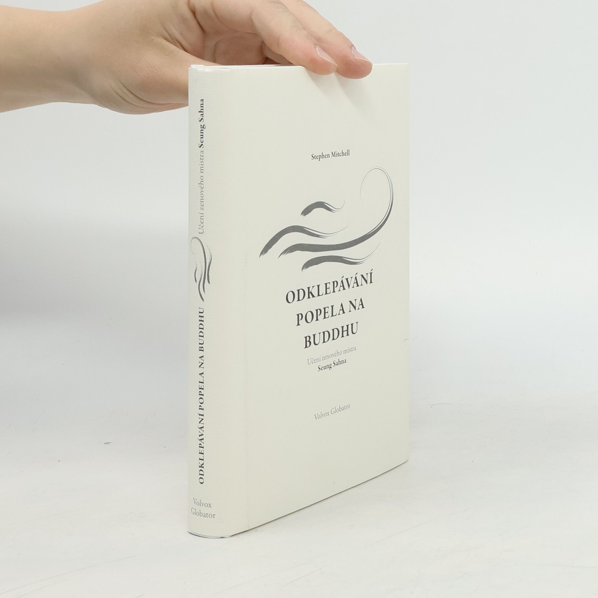 Stephen A. Mitchell Odklepávání popela na Buddhu