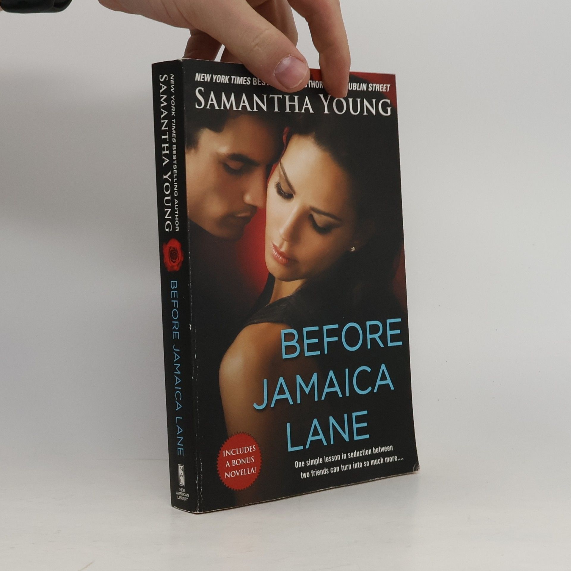 Samantha Young Before Jamaica Lane