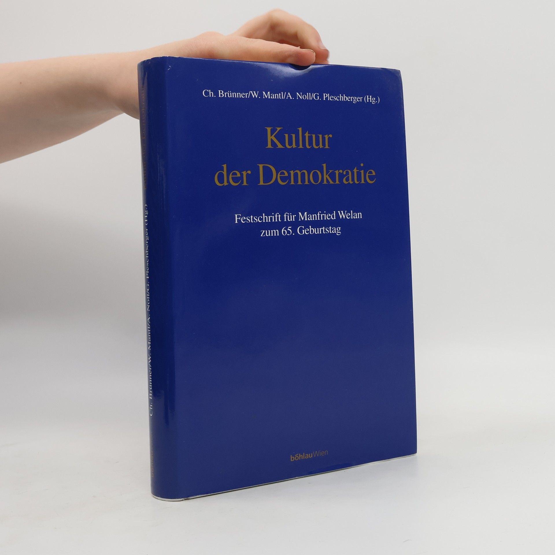 Alfred J Noll Kultur der Demokratie