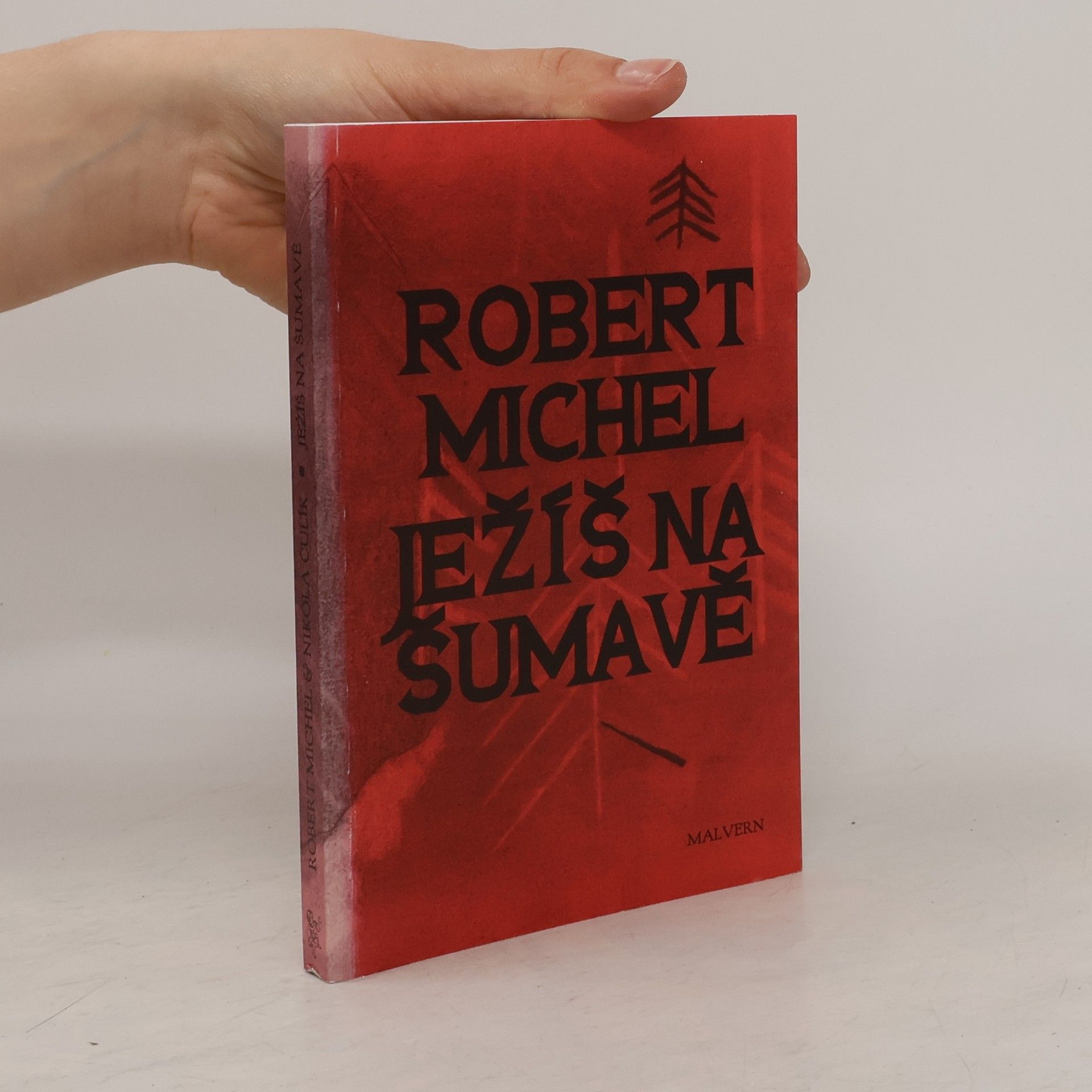 Robert Michel Ježíš na Šumavě