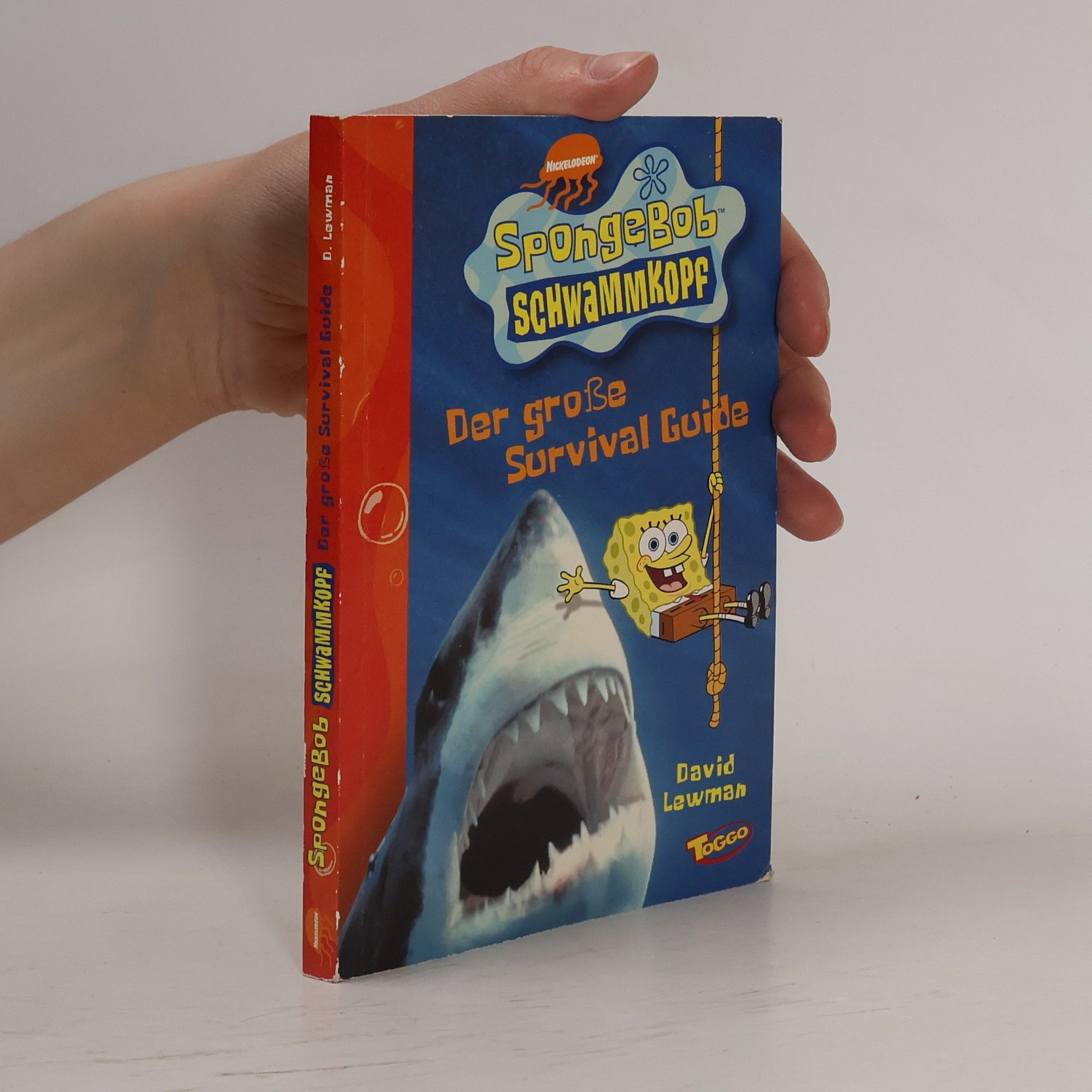 Dave Lewman Spongebob Schwammkopf. Der grosse Survival Guide