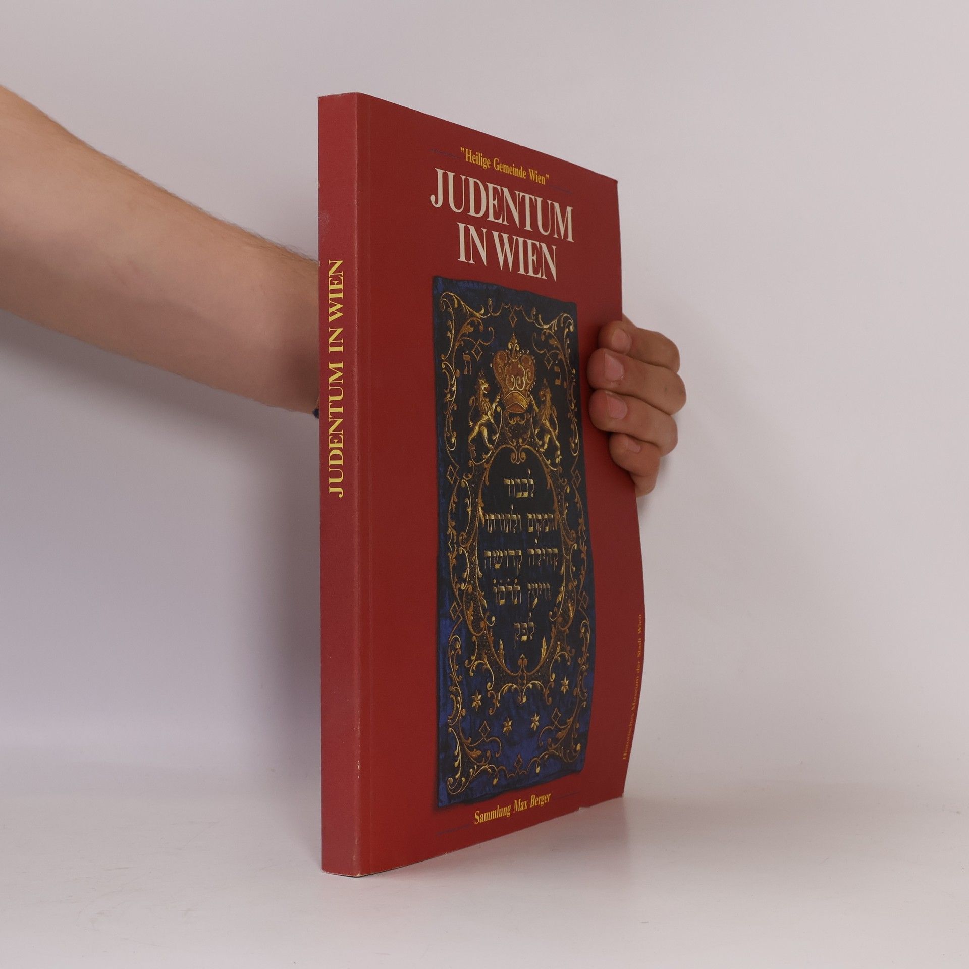 Autores varios Judentum in Wein