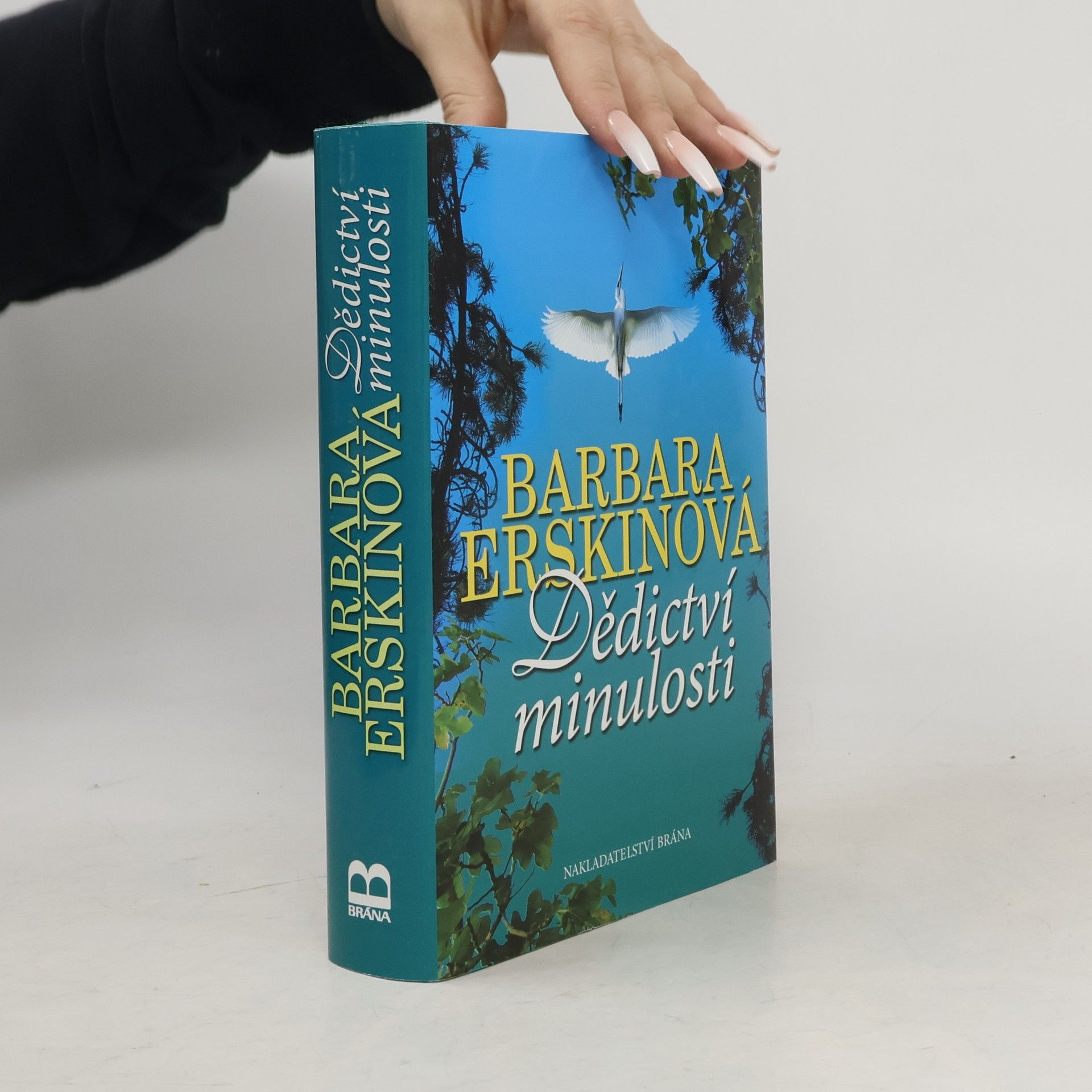 Barbara Erskinová Dědictví minulosti