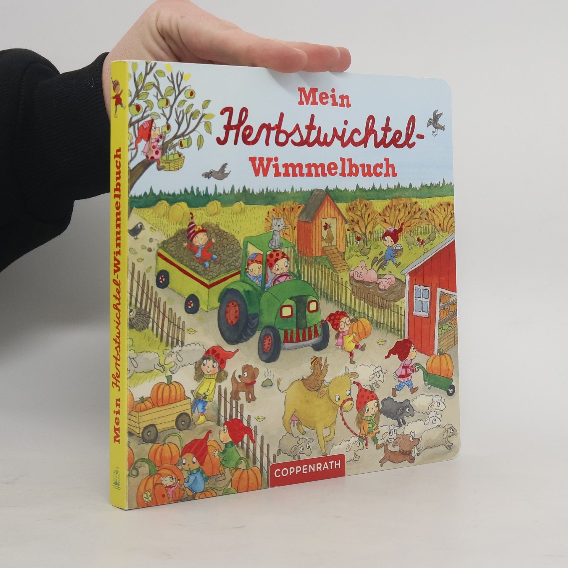 Outi Kaden Mein Herbstwichtel-Wimmelbuch