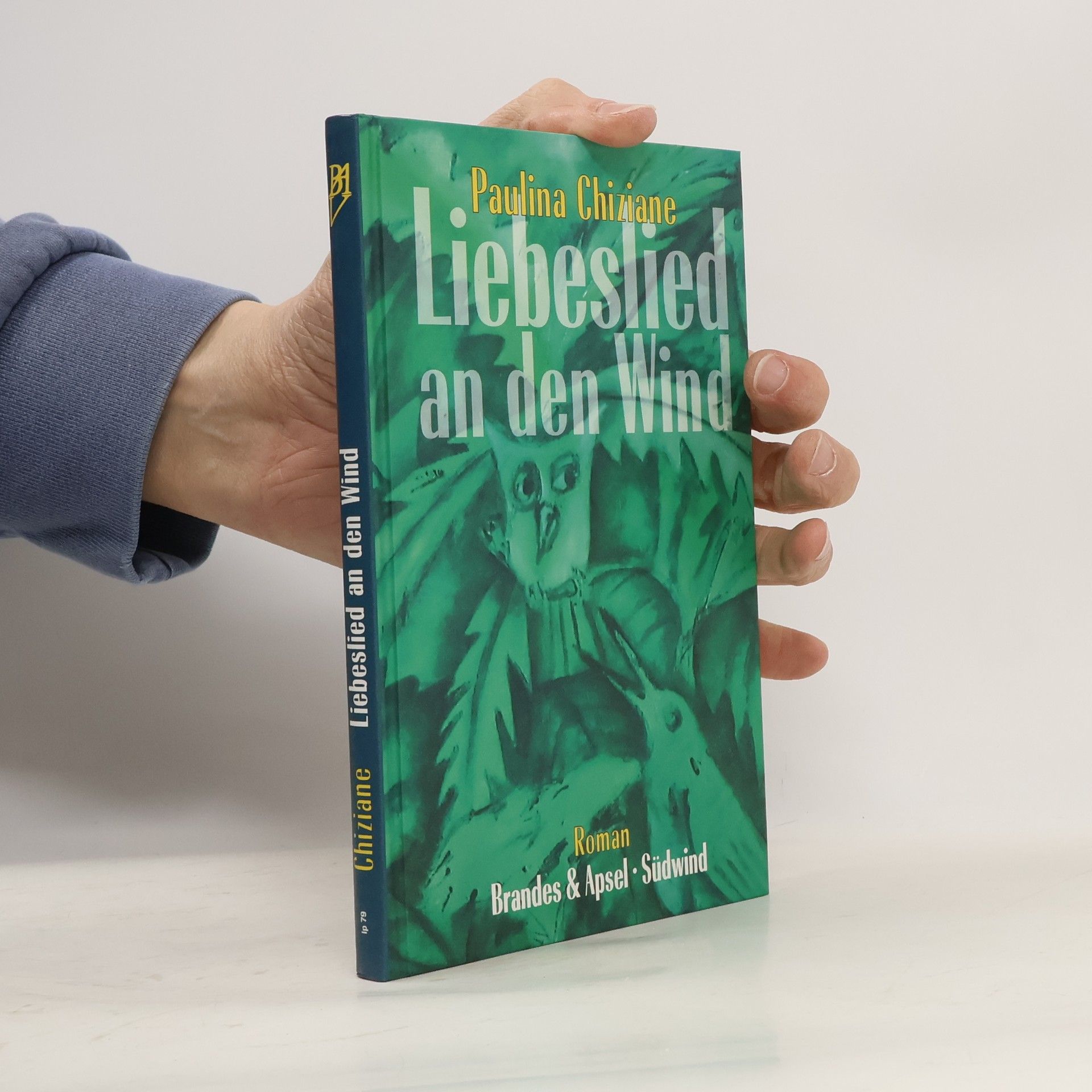 Paulina Chiziane Liebeslied an den Wind