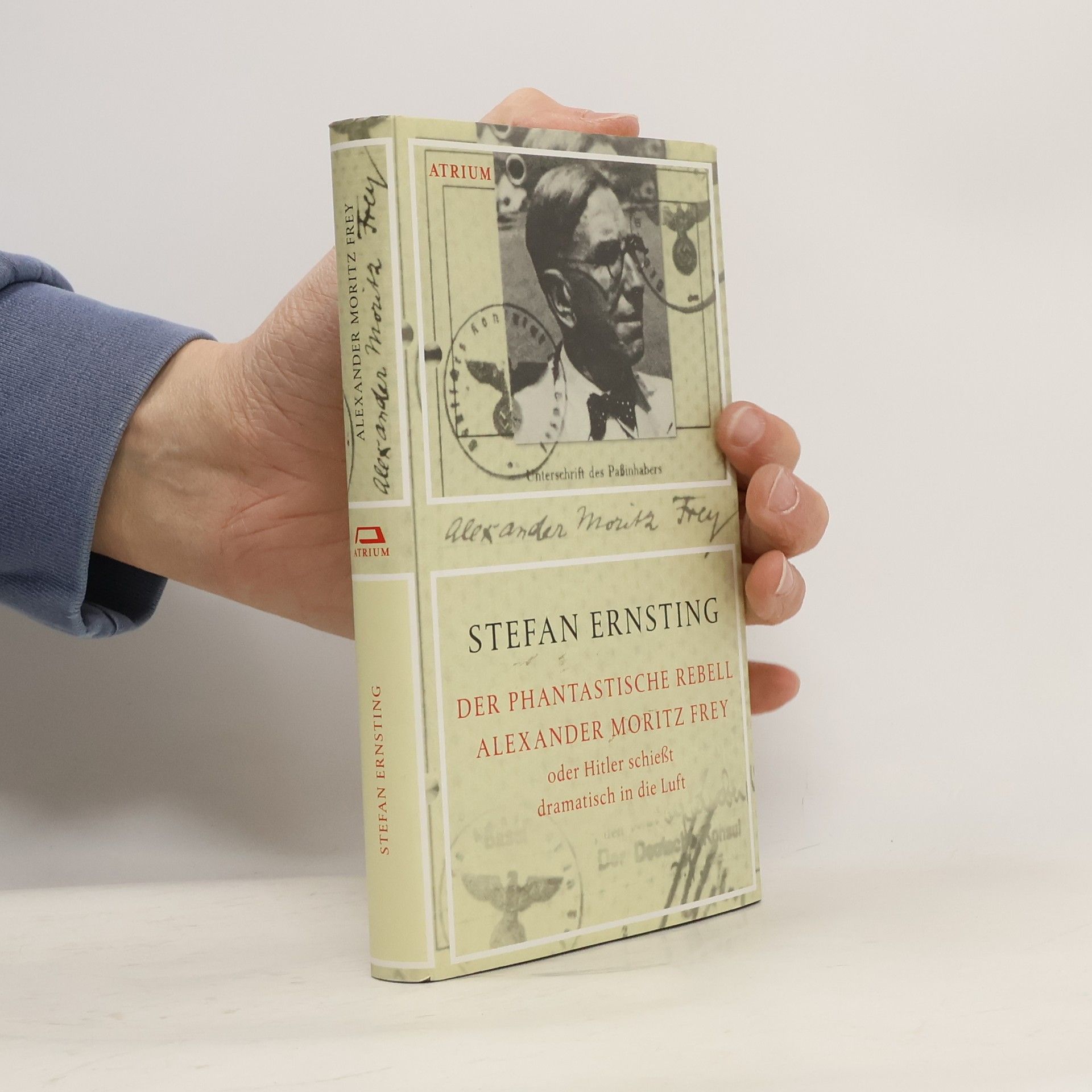 Stefan Ernsting Der phantastische Rebell Alexander Moritz Frey oder Hitler schießt dramatisch in die Luft