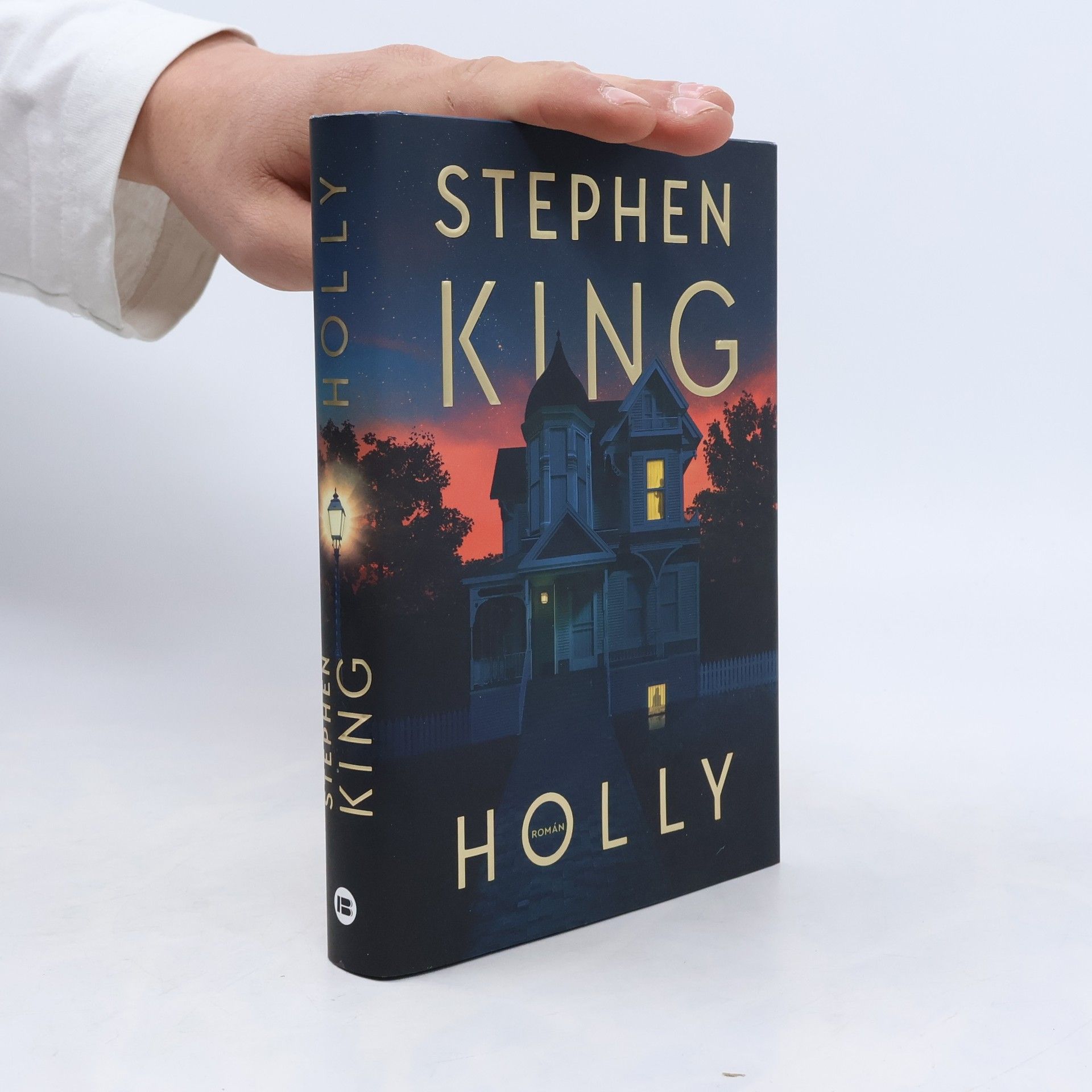 Stephen King Holly