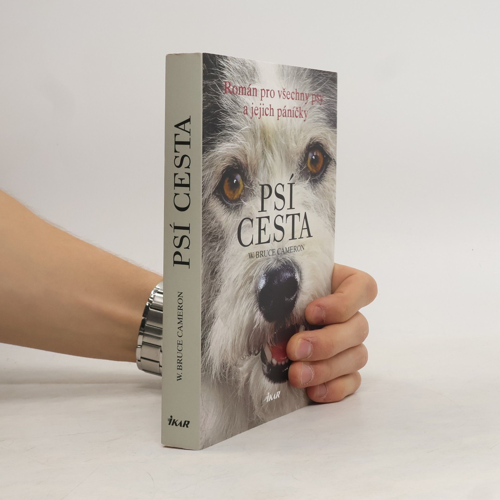 Psí cesta