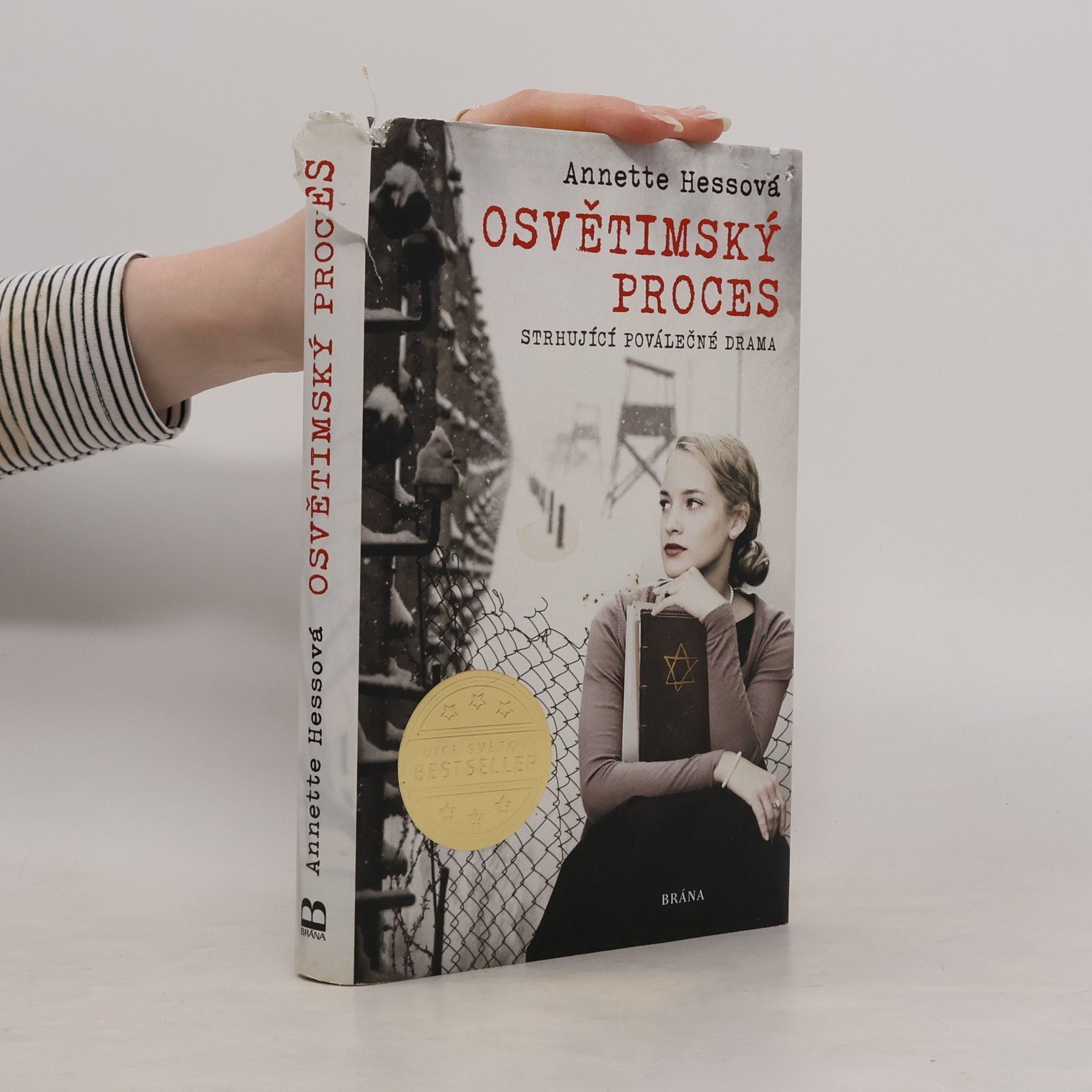 Annette Hess Osvětimský proces