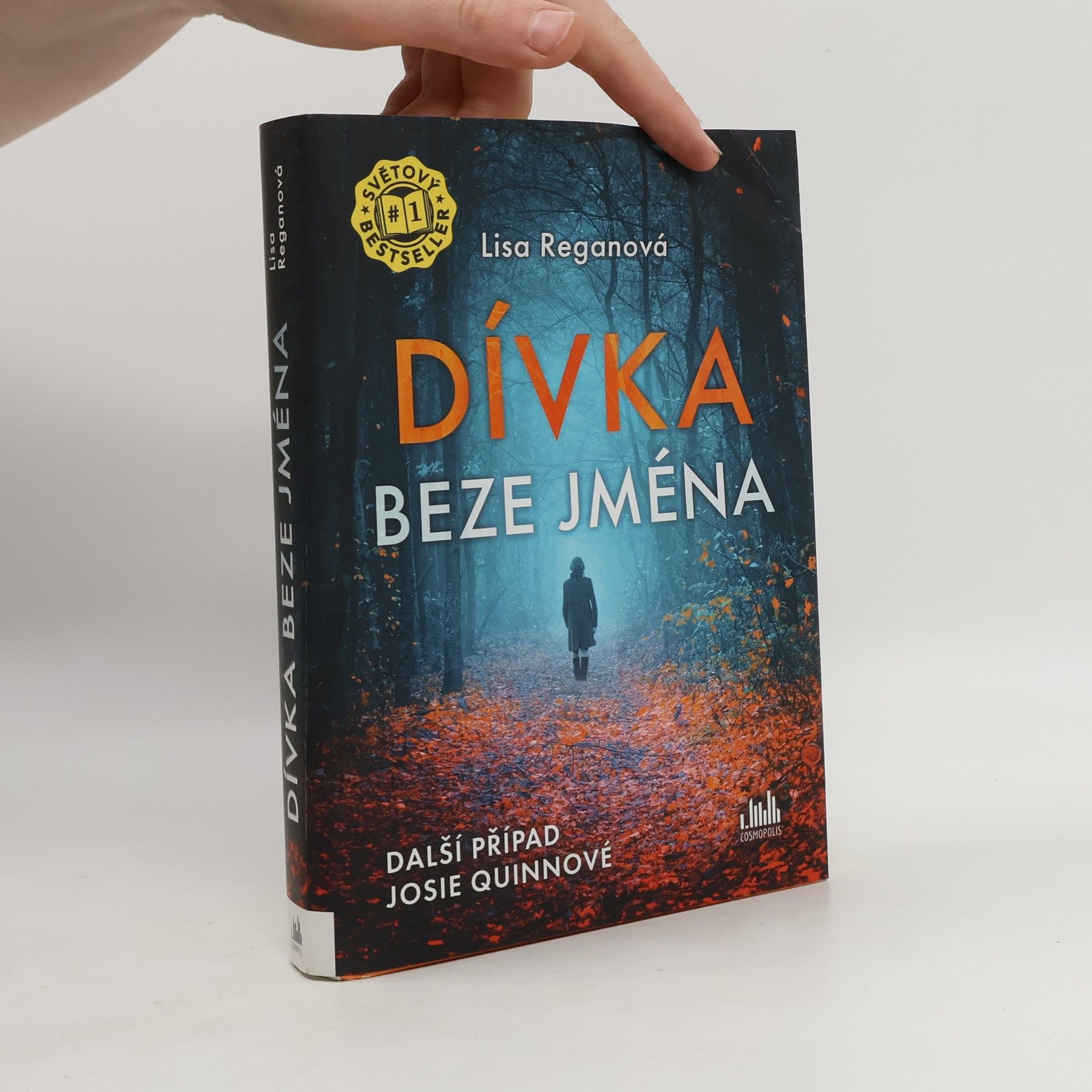 Lisa Regan Dívka beze jména: Další případ Josie Quinnové