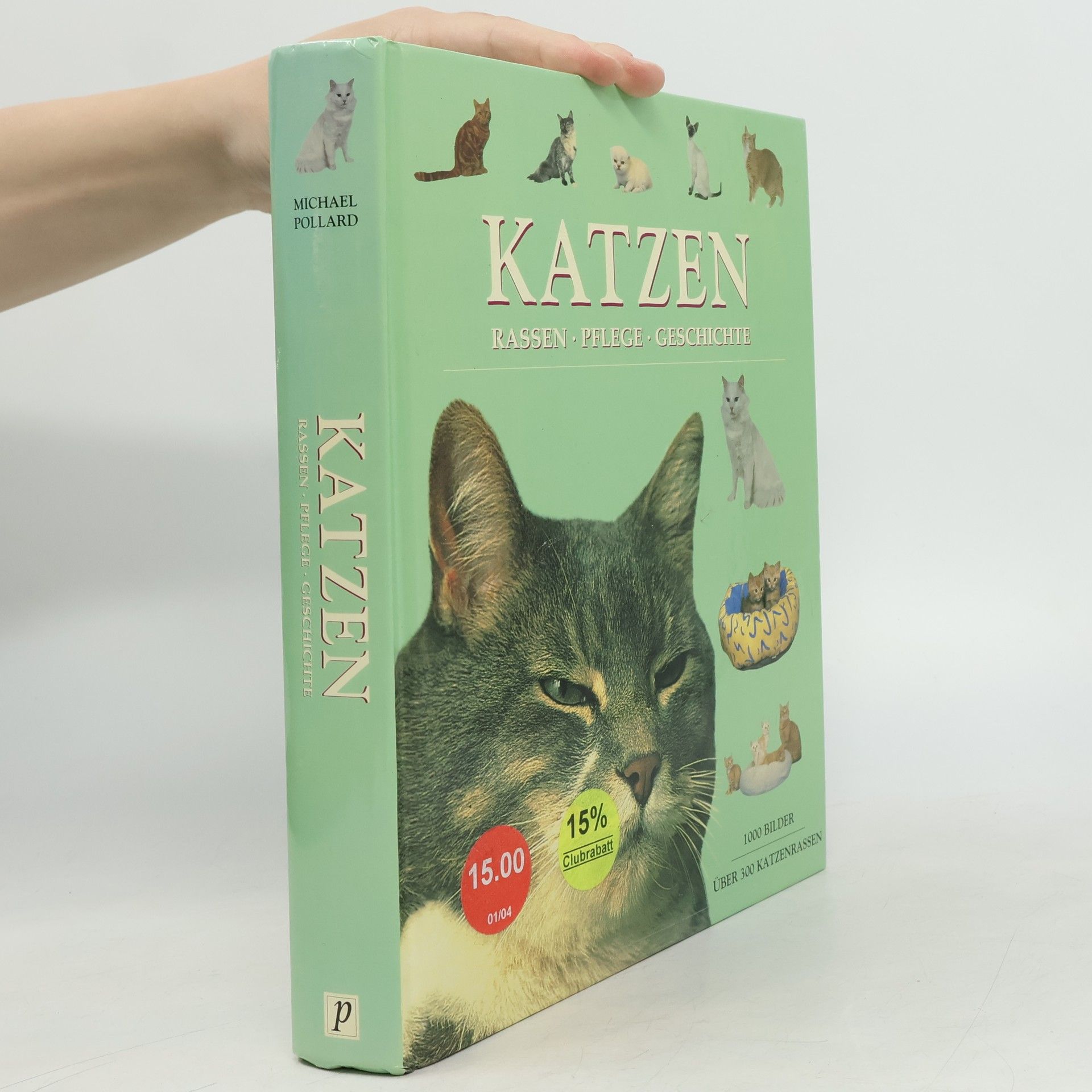 Michael Pollard Katzen