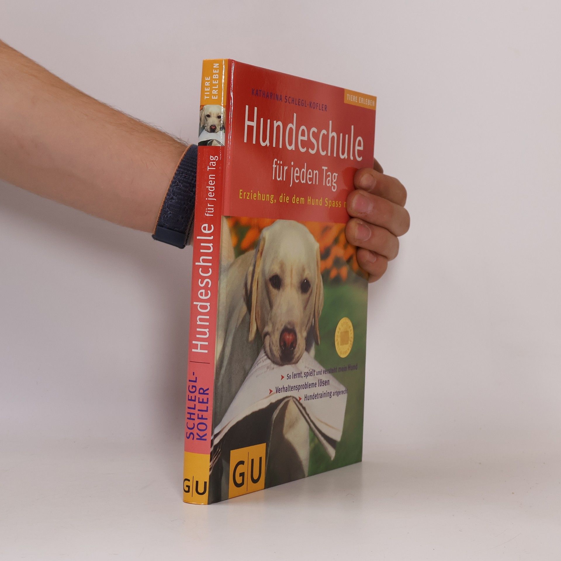 Katharina Schleg Kofler Hundeschule für jeden Tag