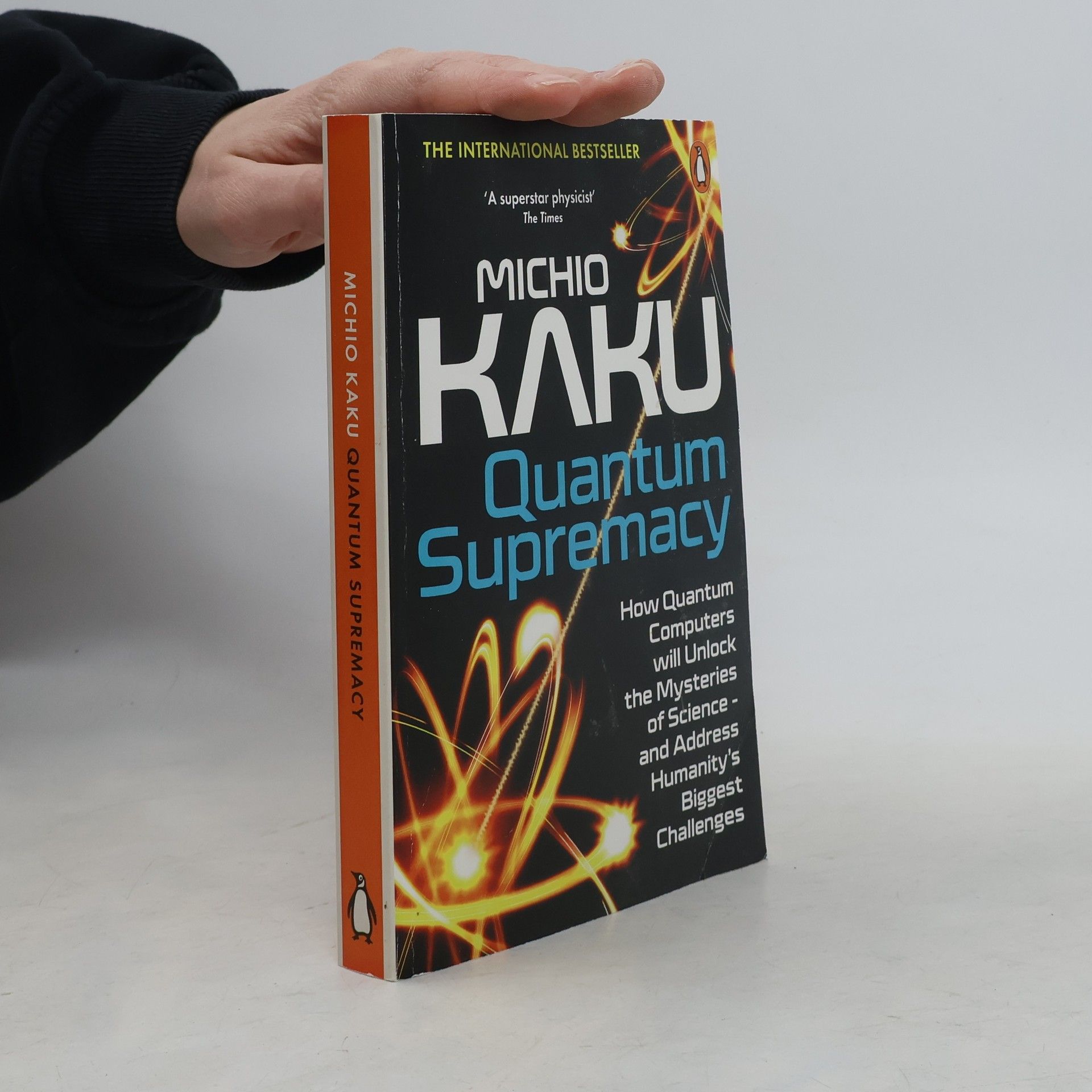 Michio Kaku Quantum Supremacy