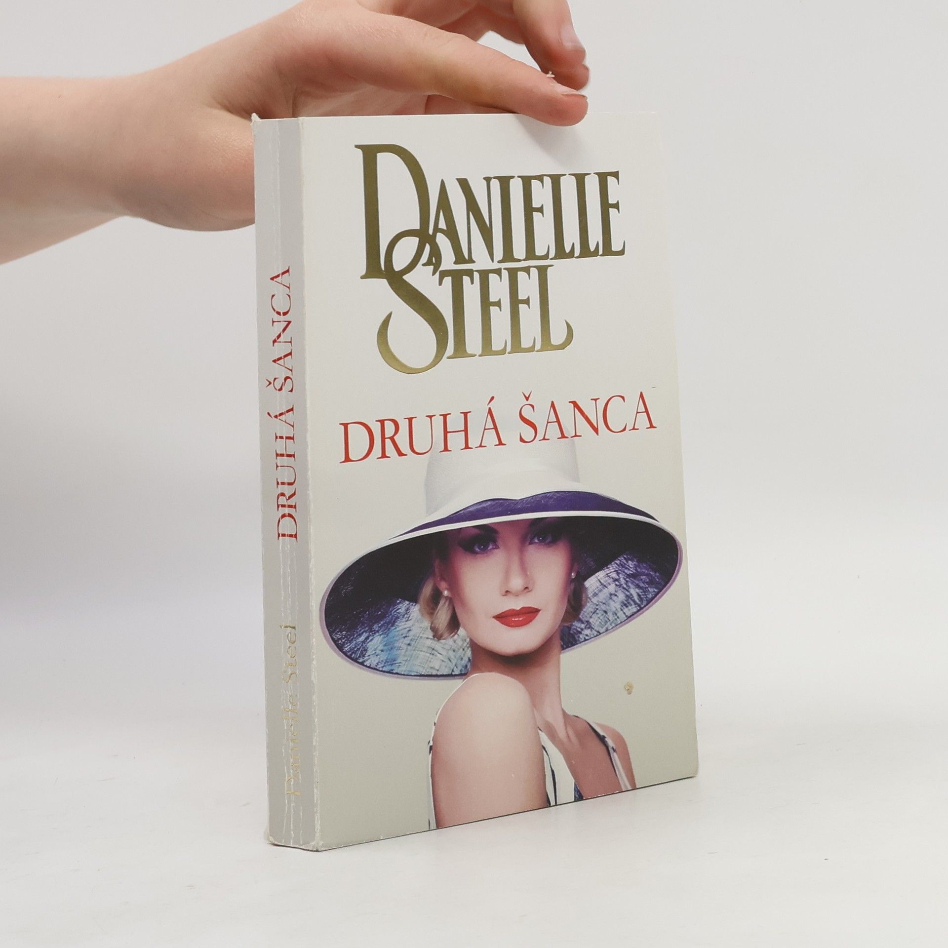 Danielle Steelová Druhá šanca