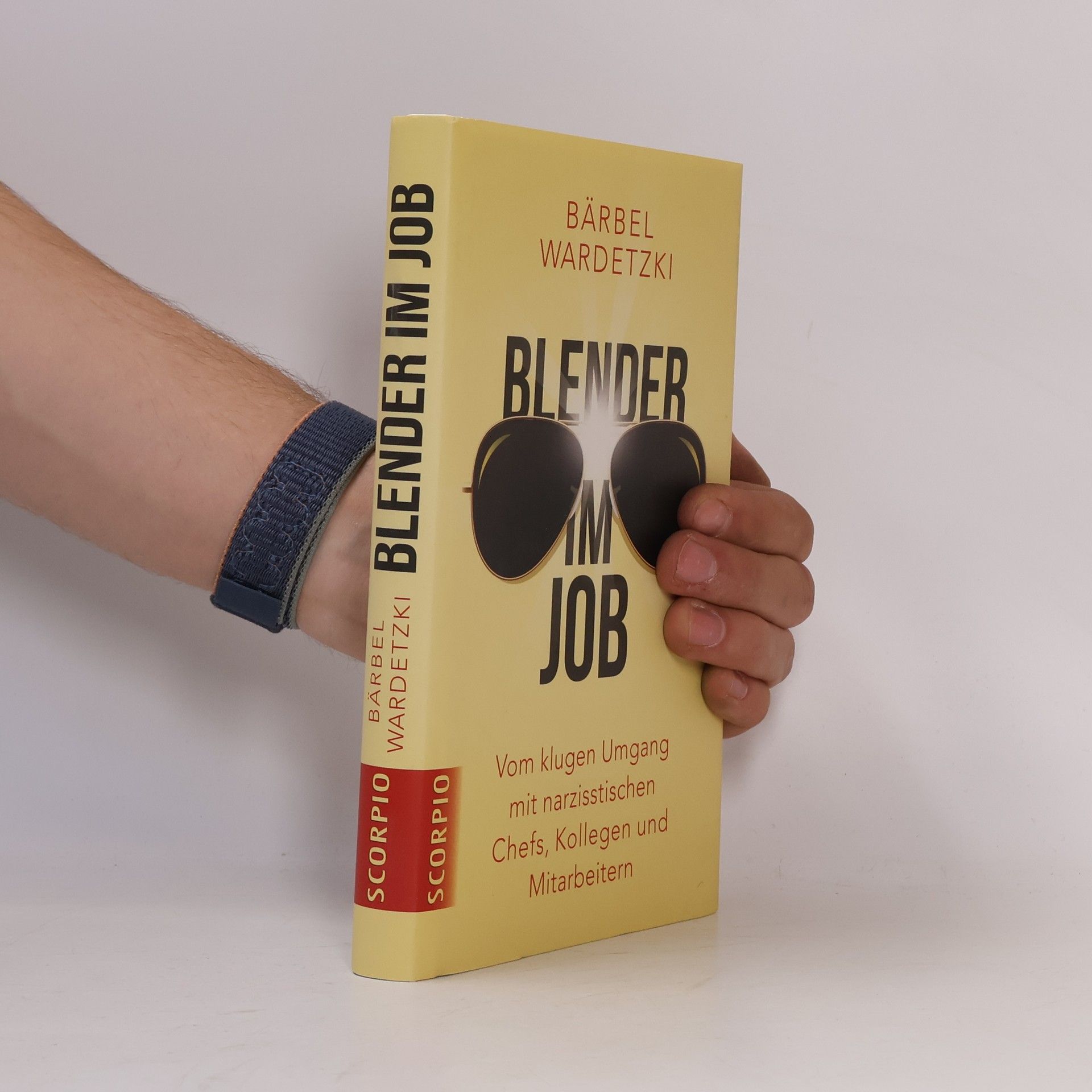 Bärbel Wardetzki Blender im Job