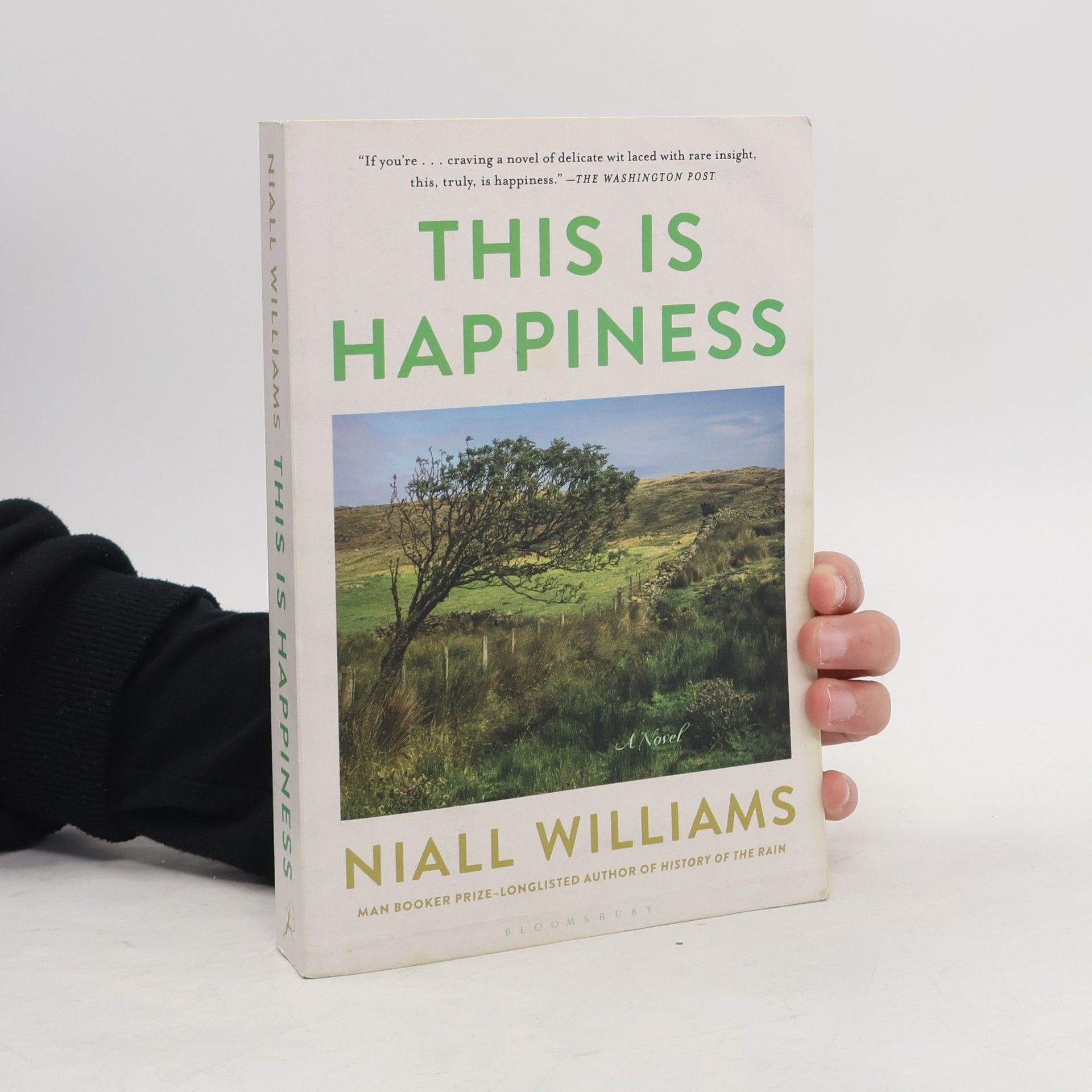 Niall Williams This Is Happiness