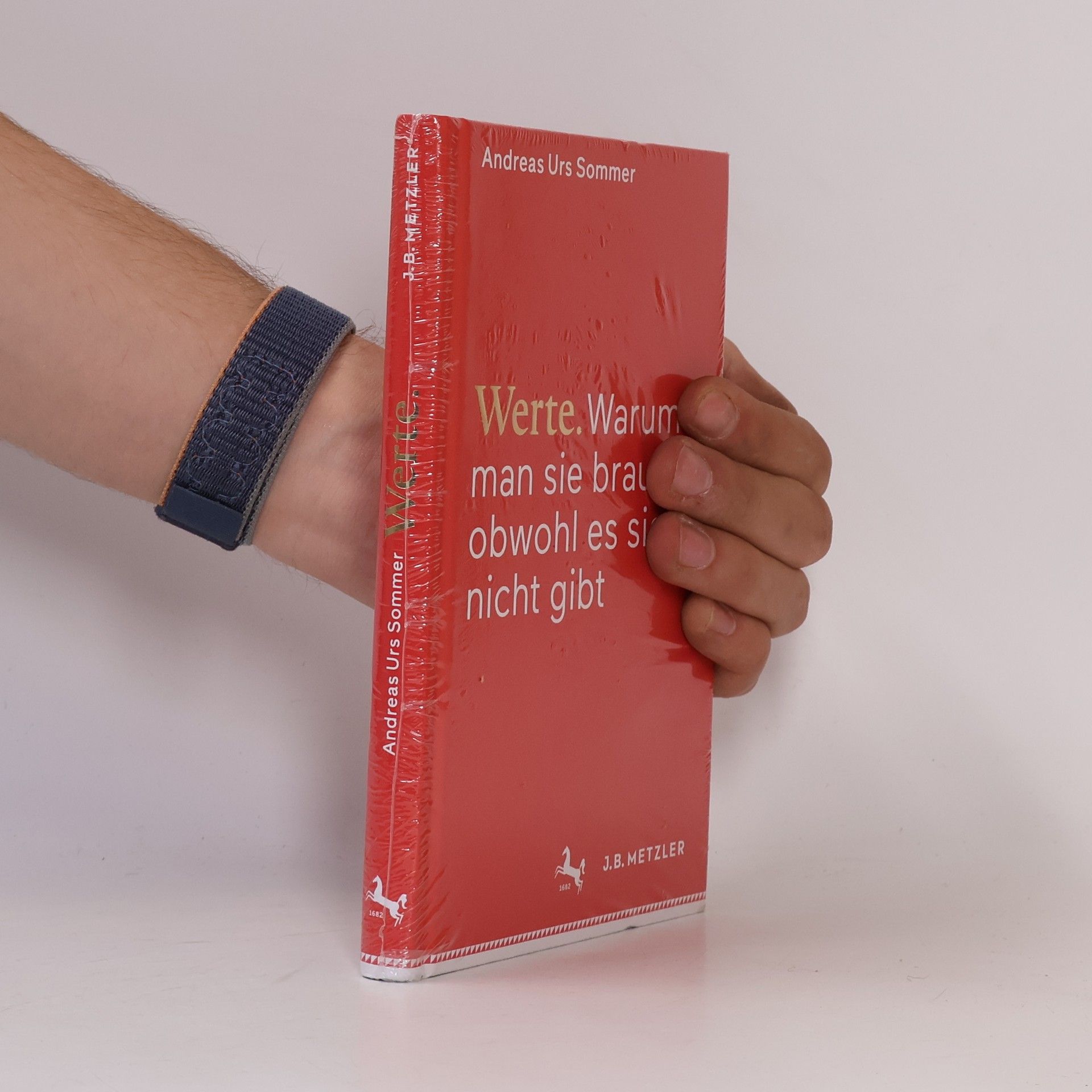 Andreas Urs Sommer Werte