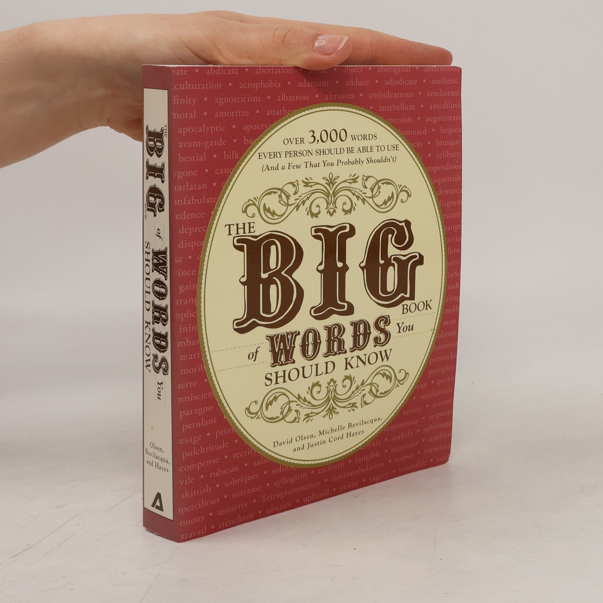 Justin Cord Hayes The Big Book of Words You Should Know