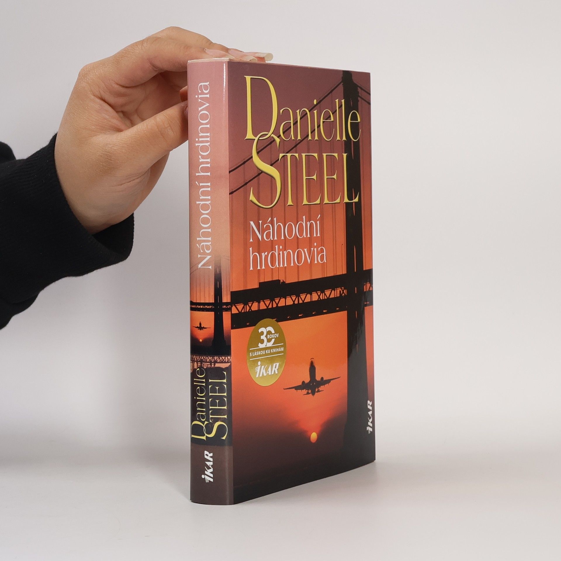 Danielle Steelová Náhodní hrdinovia