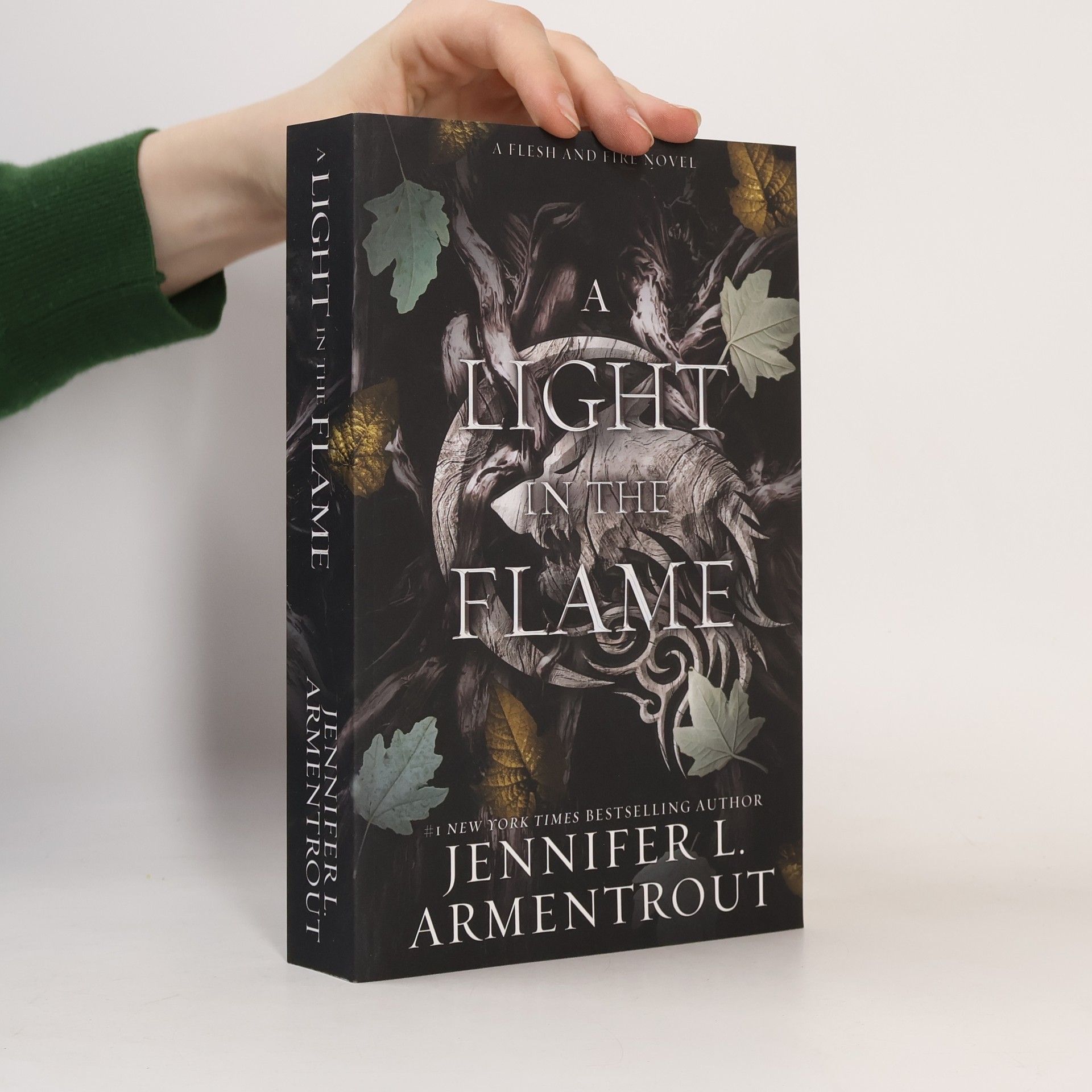 Jennifer L. Armentrout A Light in the Flame