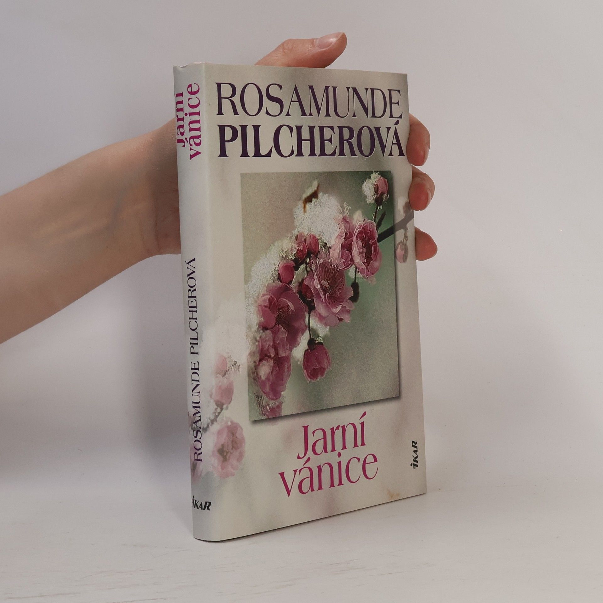 Rosamunde Pilcher Jarní vánice