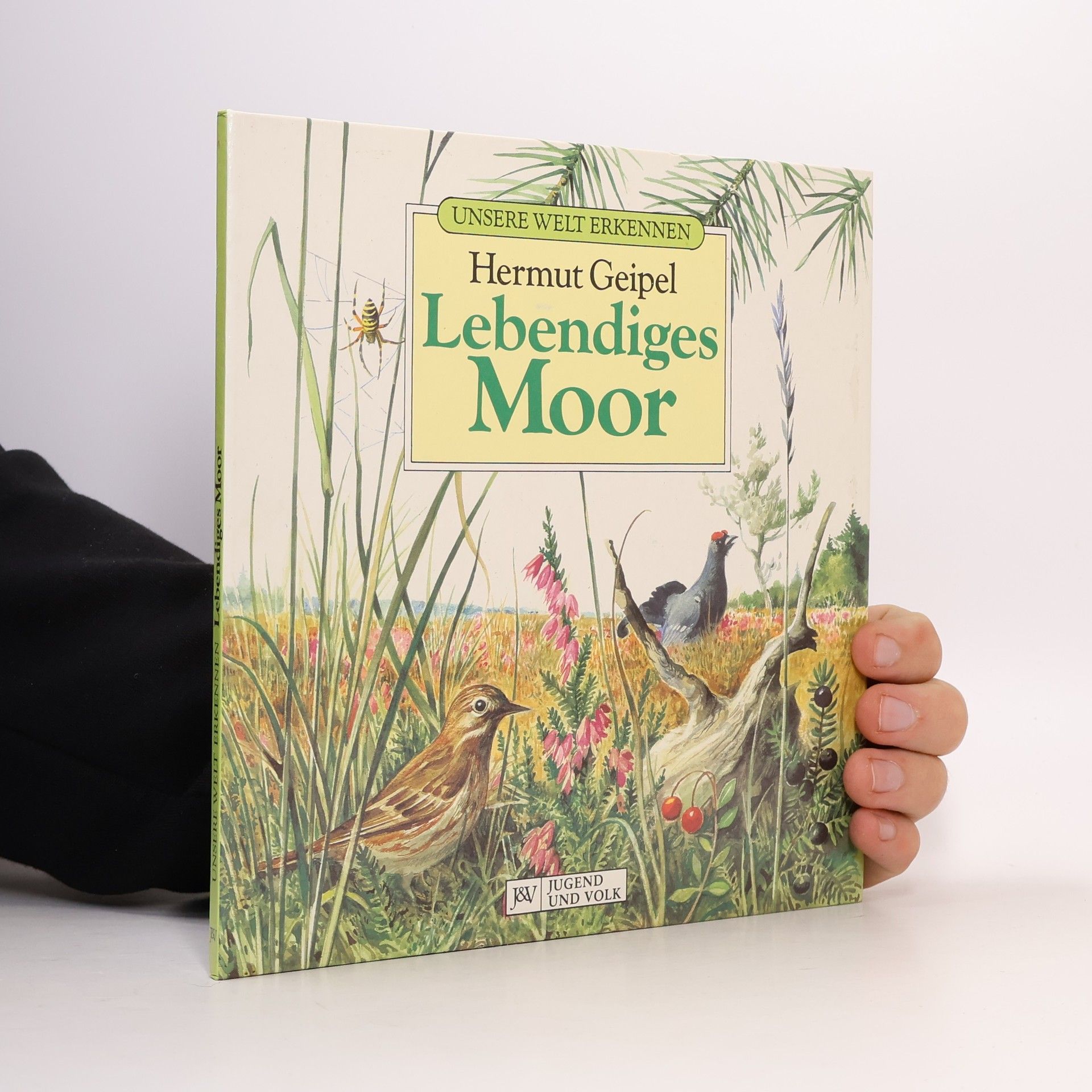 Hermut K. Geipel Lebendiges Moor