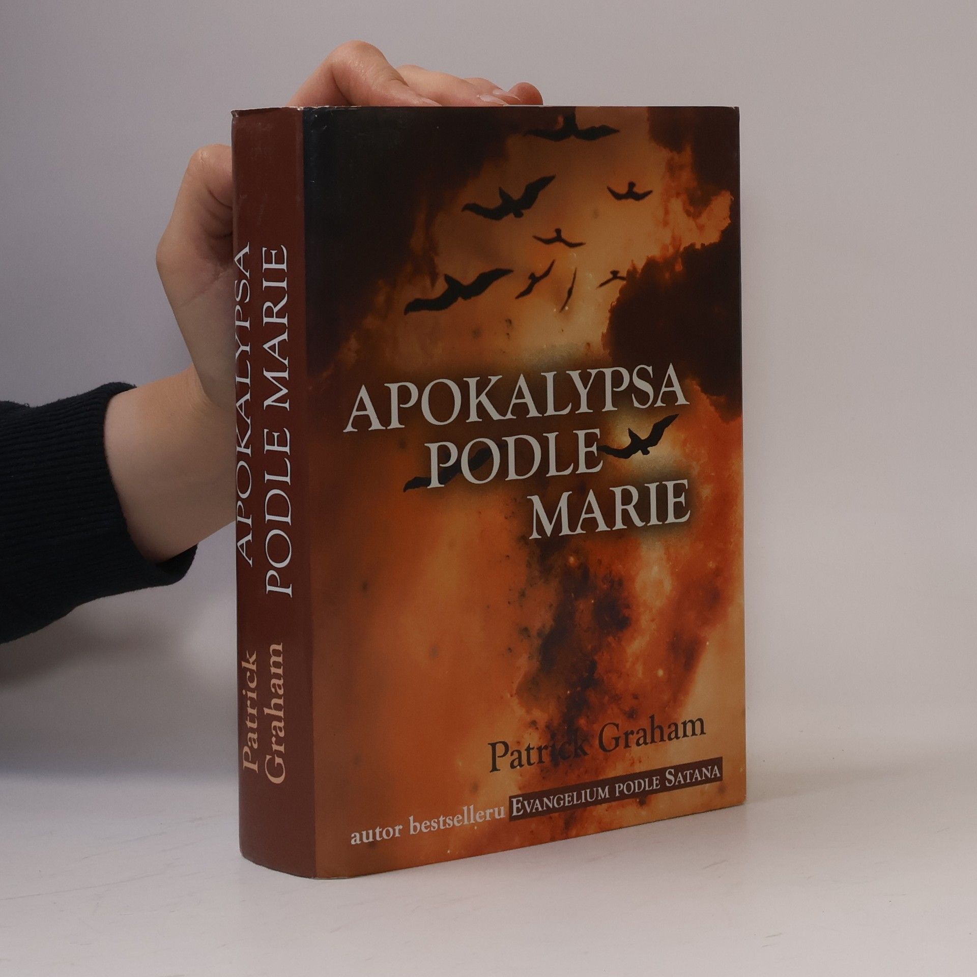 Patrick Graham Apokalypsa podle Marie