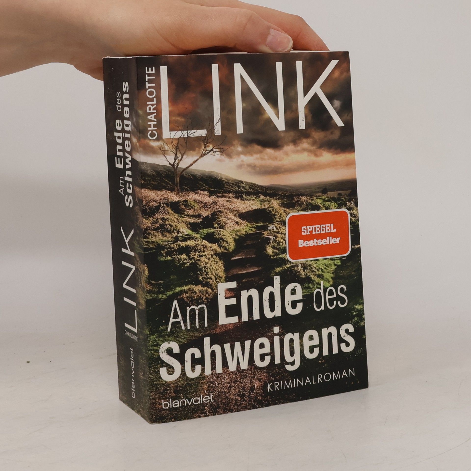 Charlotte Link Am Ende des Schweigens