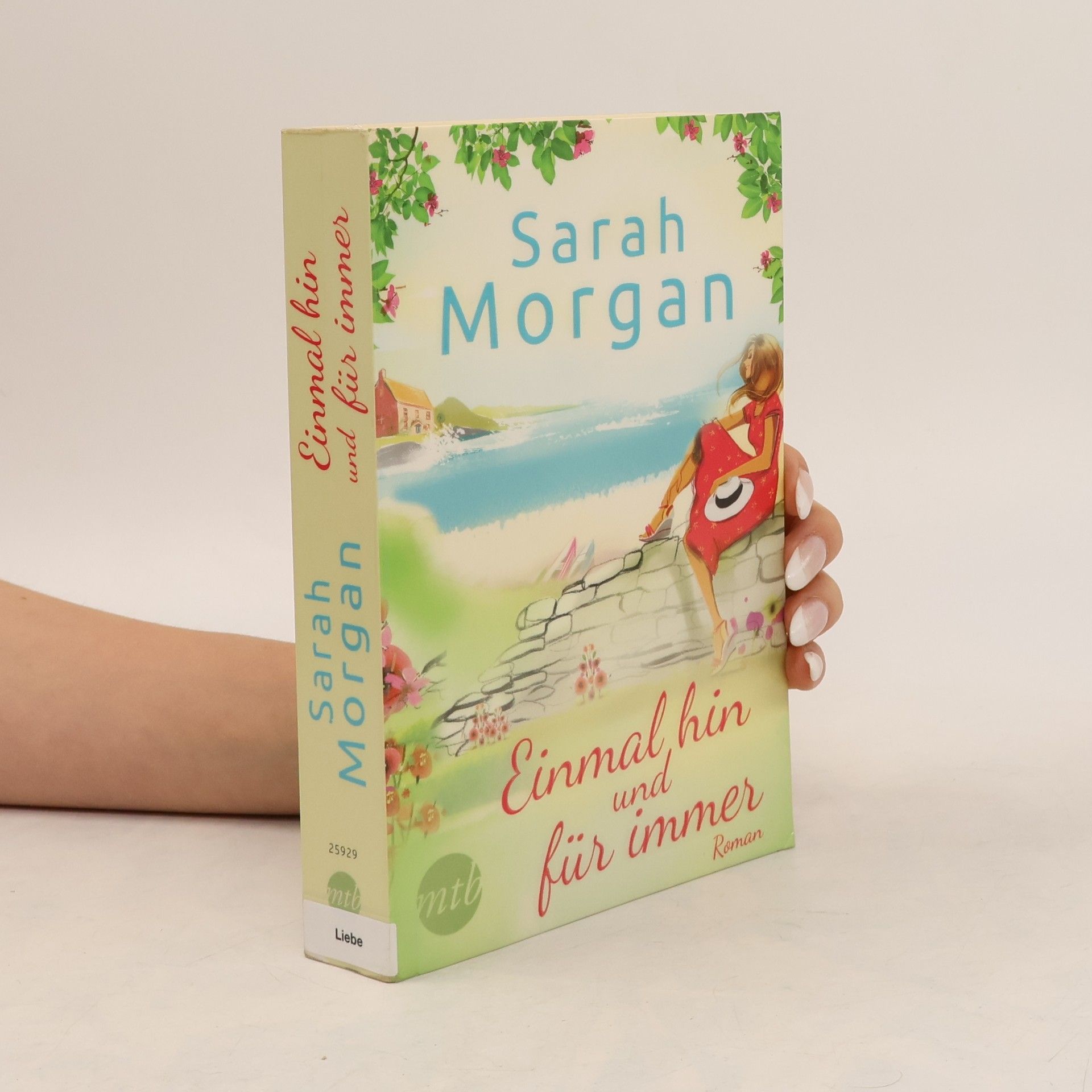 Sarah Morgan Einmal hin und für immer Roman