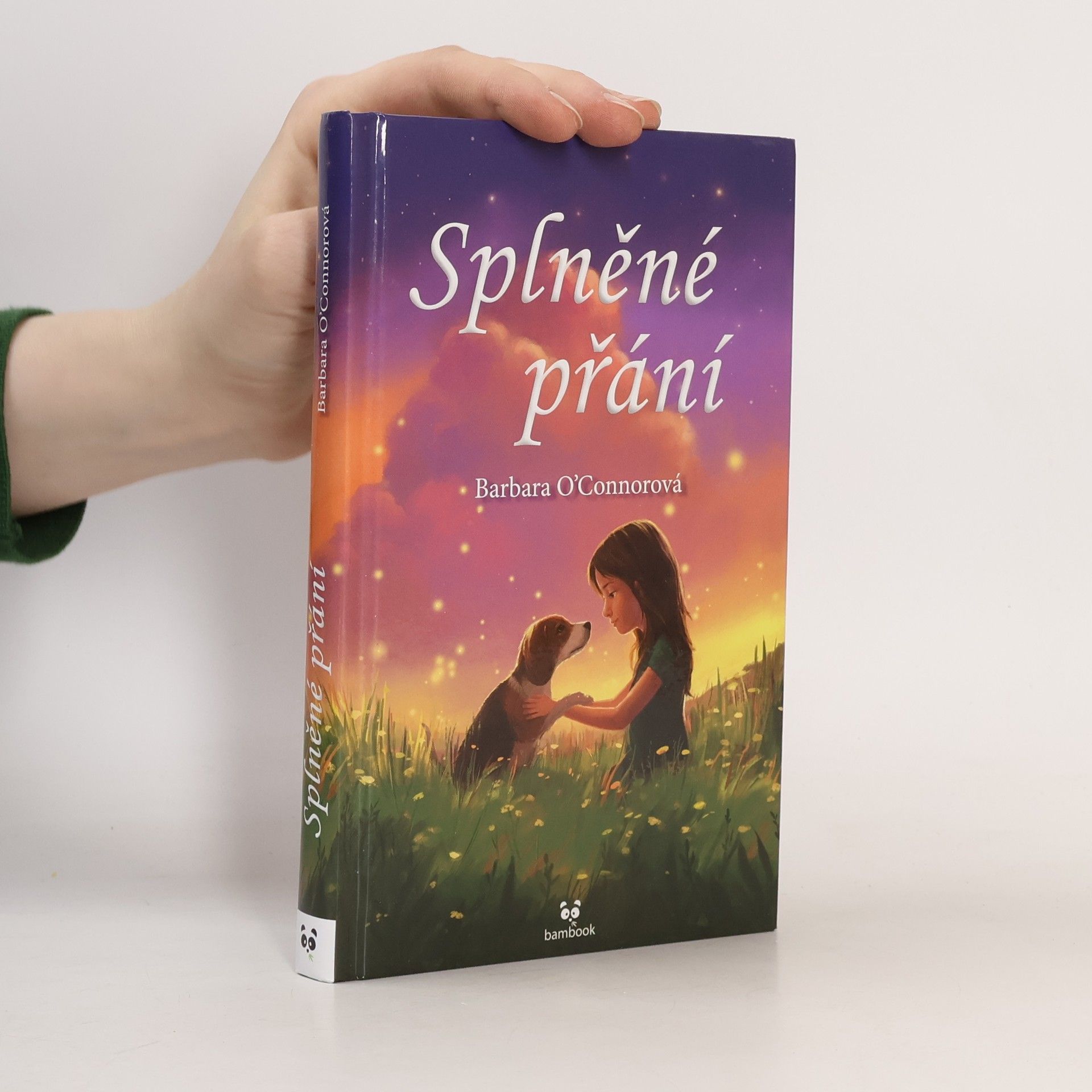 Barbara O'Connor Splněné přání