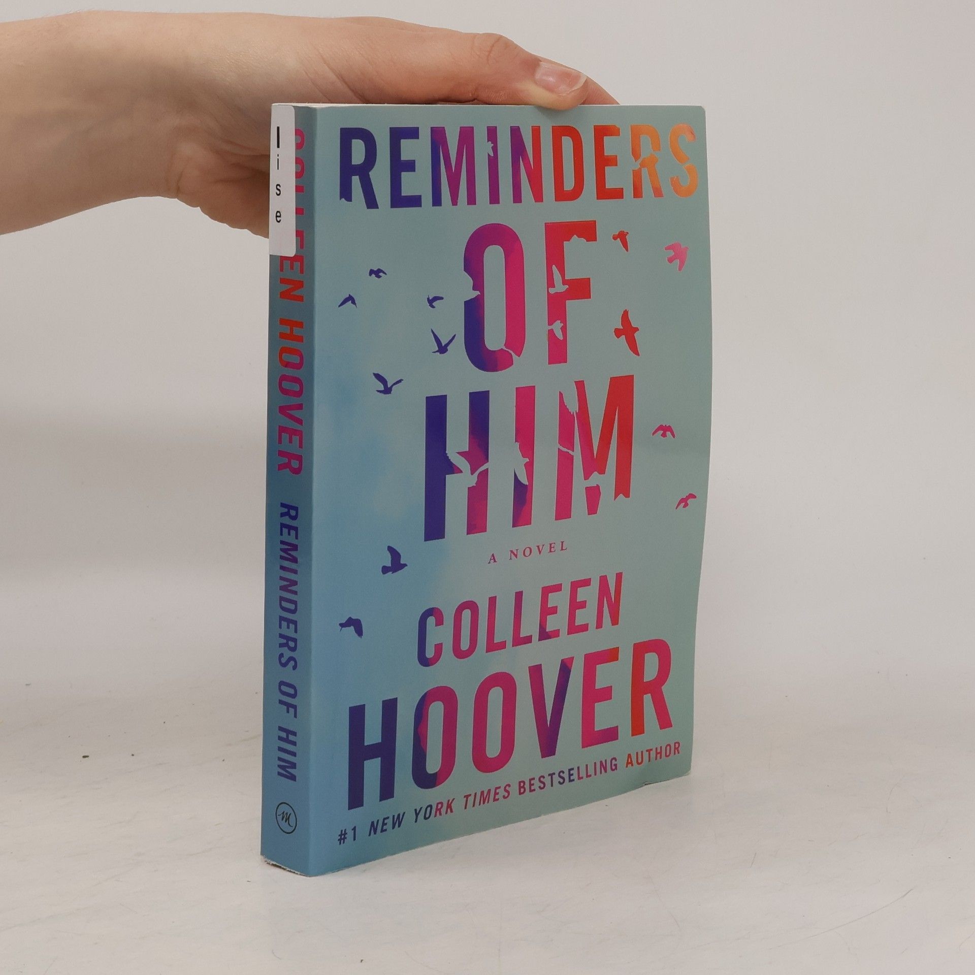 Colleen Hoover Reminders of him