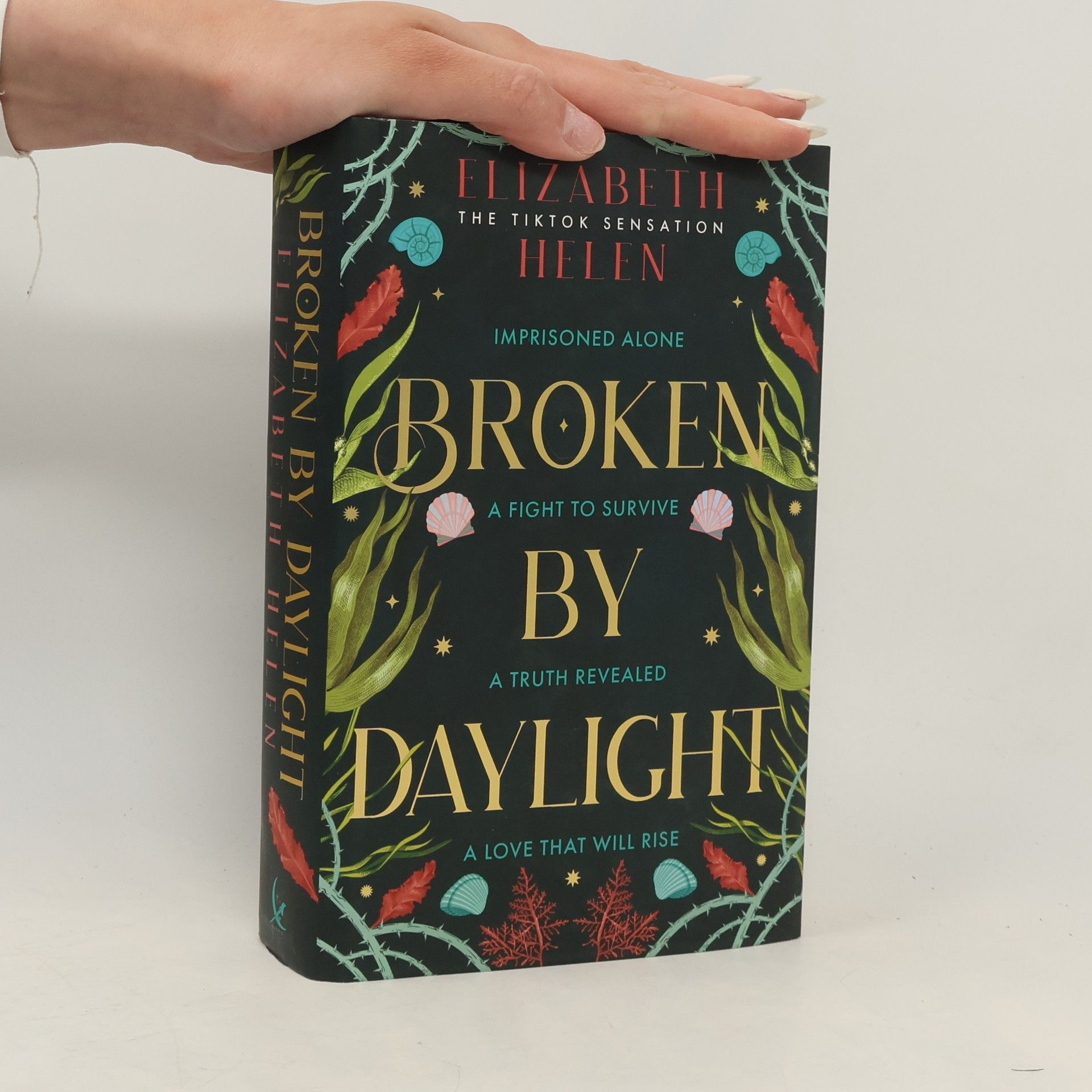 Broken by Daylight