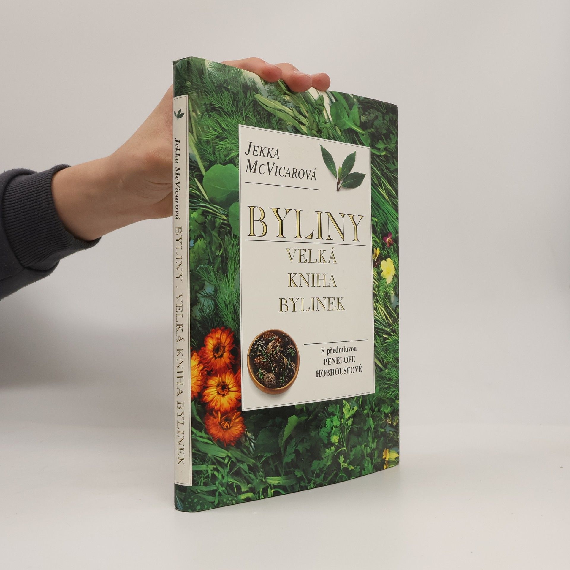 Penelope Hobhouse Byliny: velká kniha bylinek