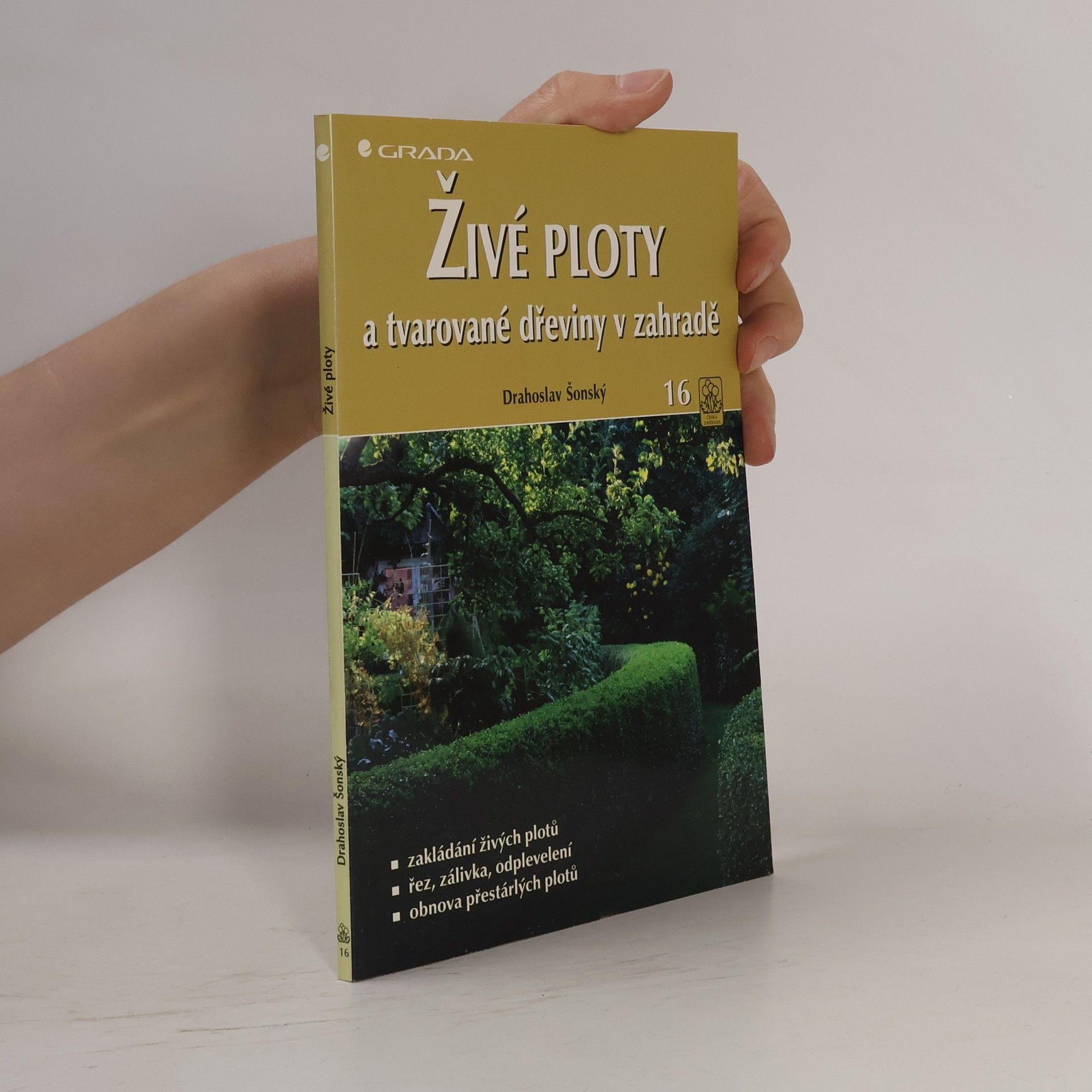 Živé ploty a tvarované dřeviny v zahradě
