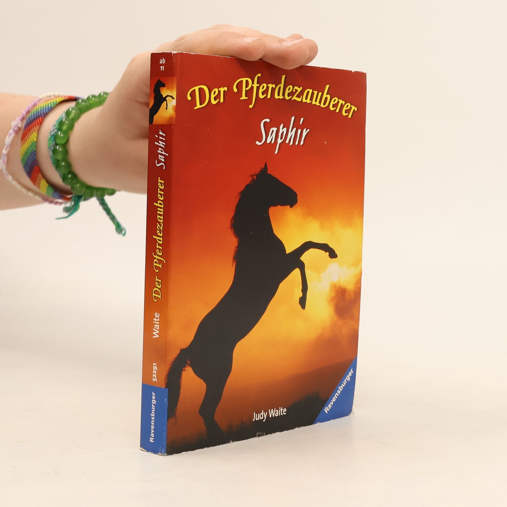 Der Pferdezauberer
