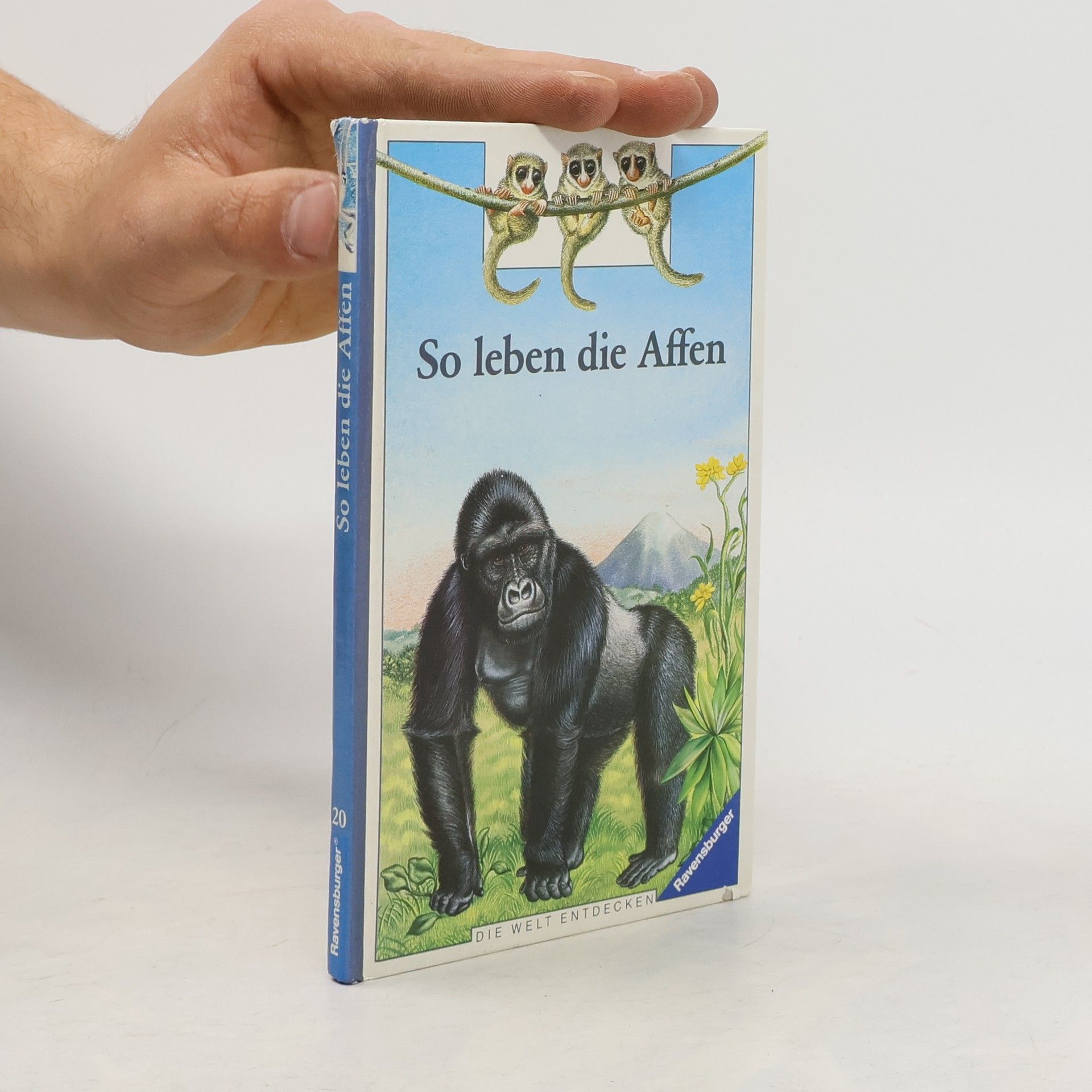 André Lucas So leben die Affen