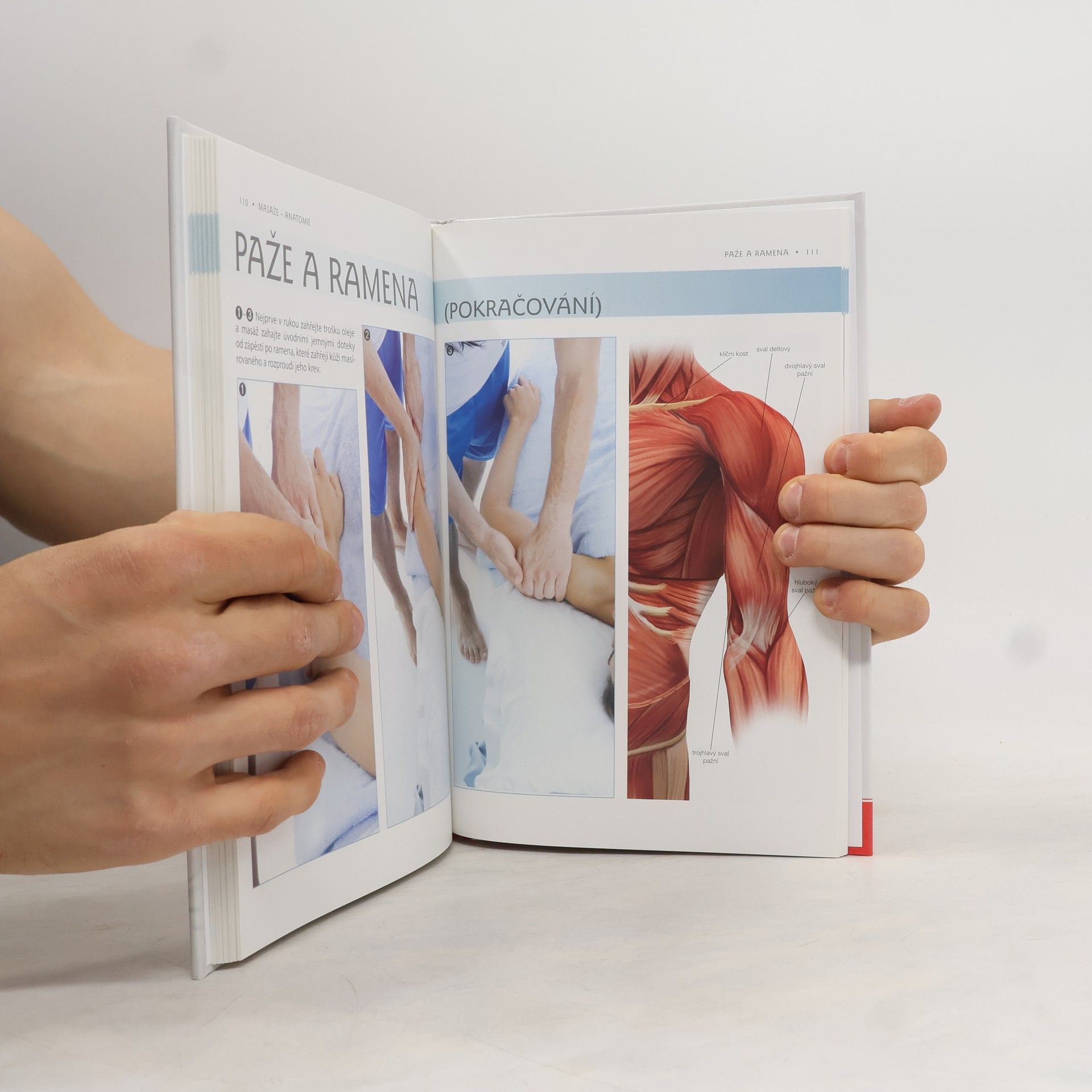 Abby Ellsworth Masáže - Anatomie. Průvodce sedmi masážními styly a jejich vlivem na konkrétní svalové skupiny