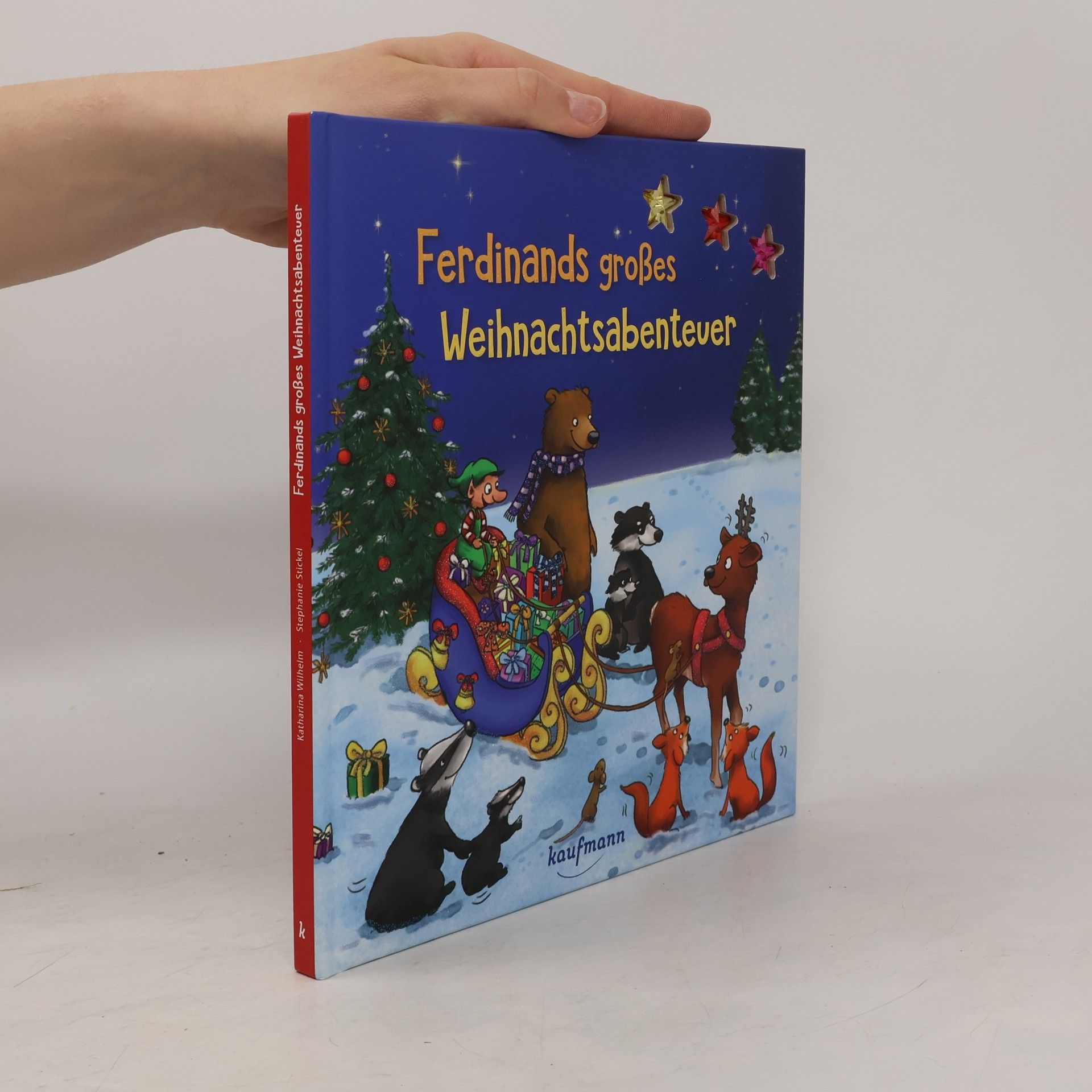 Kristin Lückel Ferdinands großes Weihnachtsabenteuer